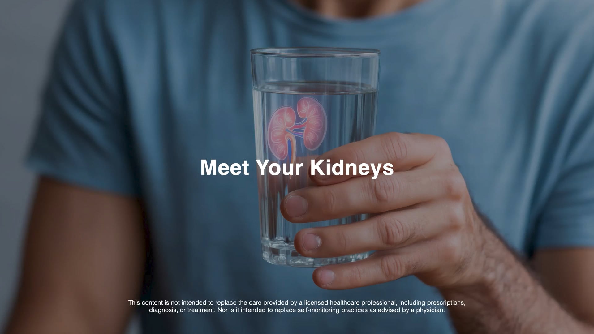 1 Min Meet Your Kidneys