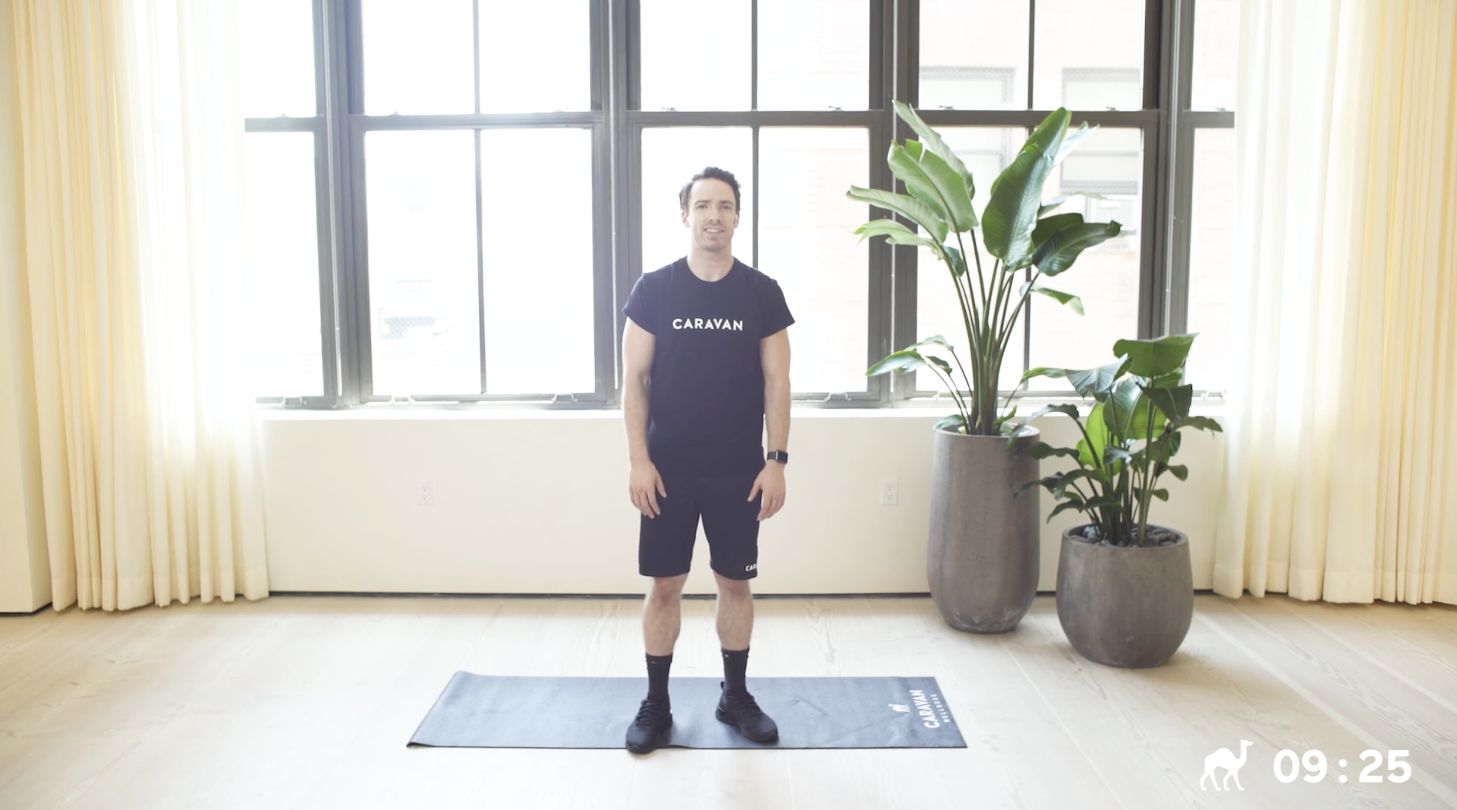 10 Min Arms & Shoulders (Beginner)