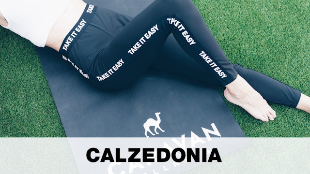 calzedonia it: You better shape up!