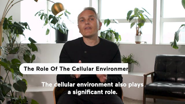 The Role Of The Cellular Environment ...
