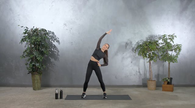 15 Min Standing Full Body Workout Int...