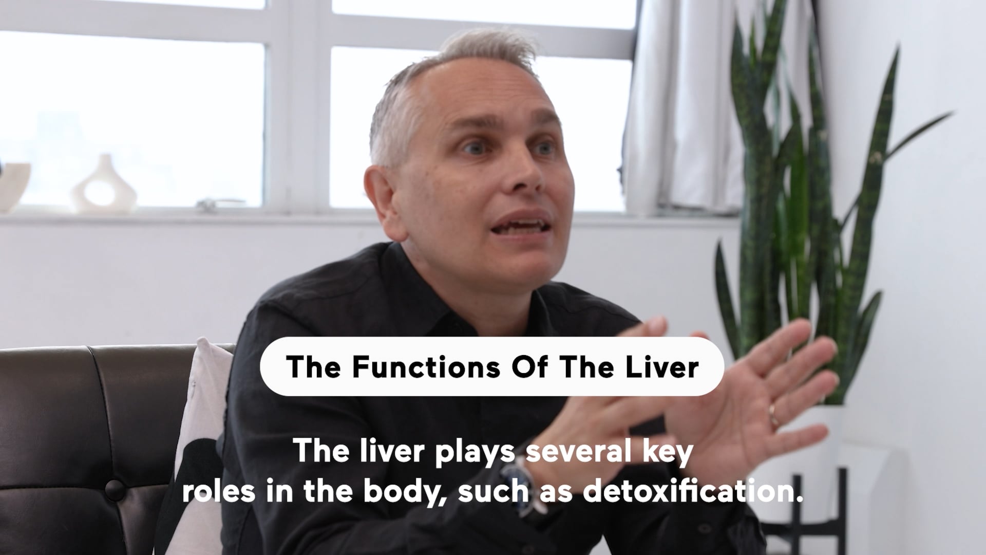The Functions Of The Liver (Highlight)