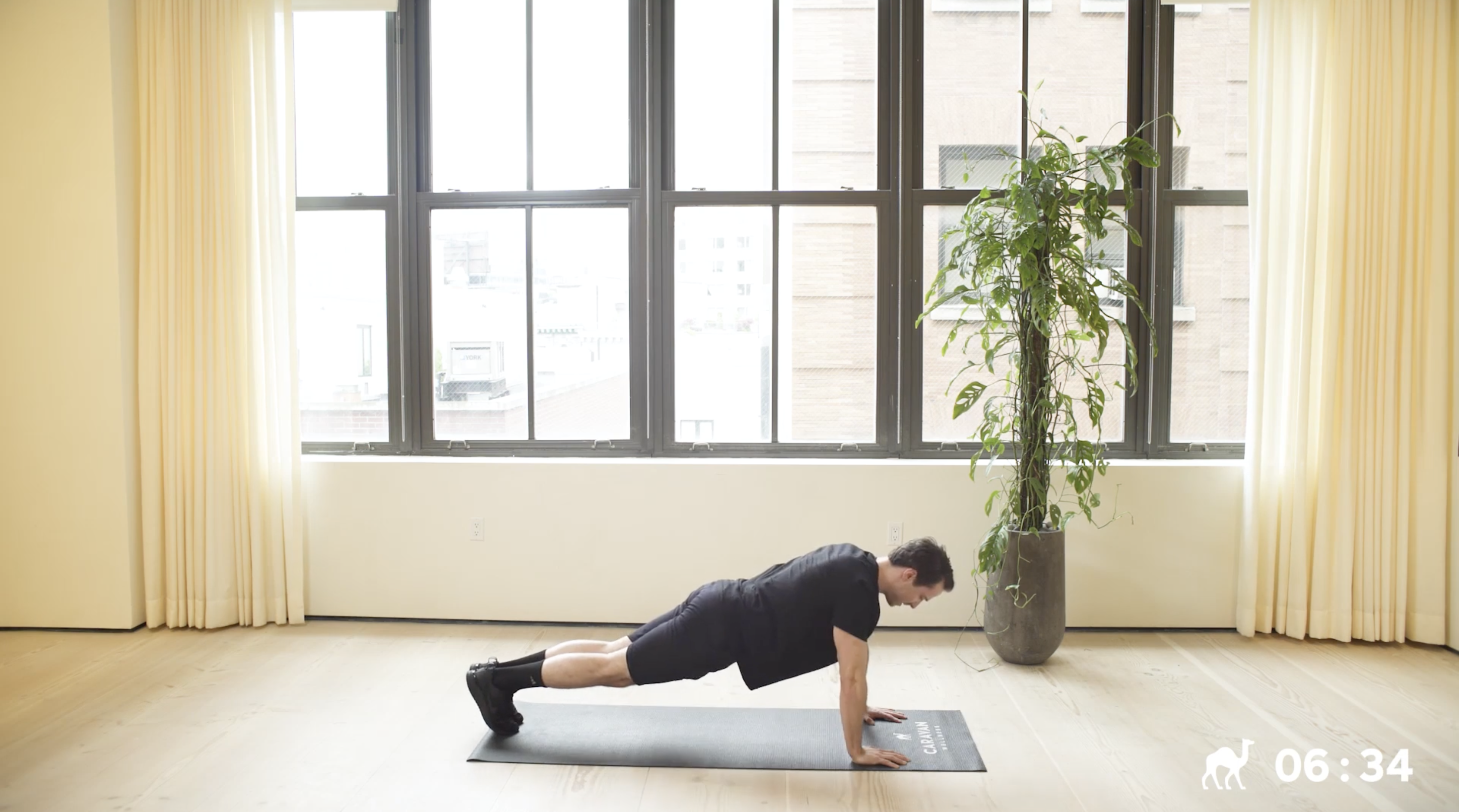 10 Min Arms & Shoulders (Advanced)