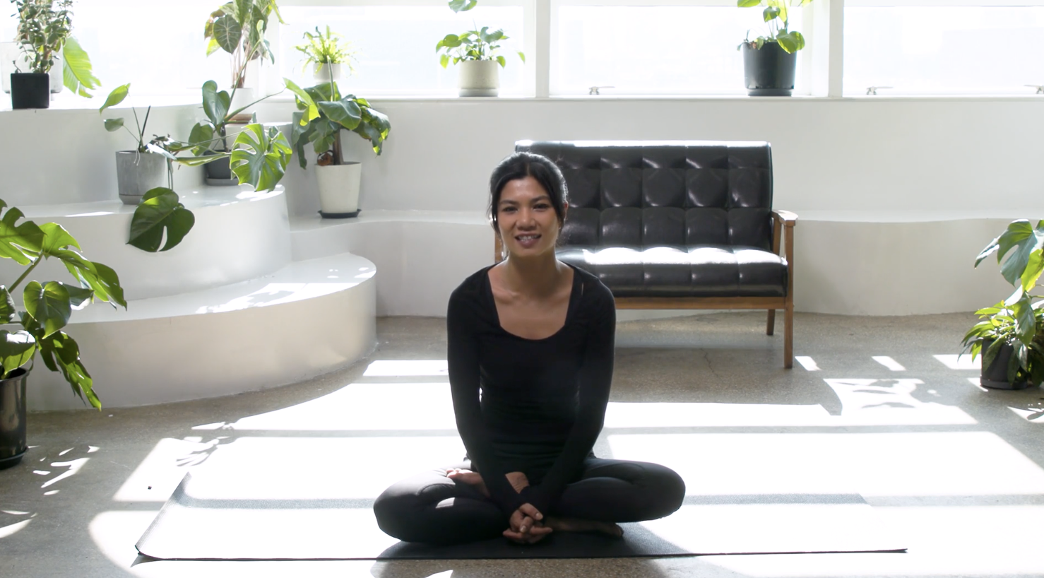 开髋动作 (中文)