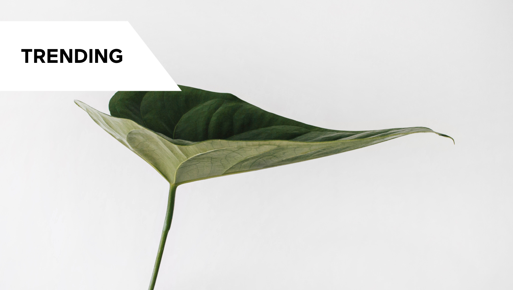 5 Days to Combat Quiet Quitting