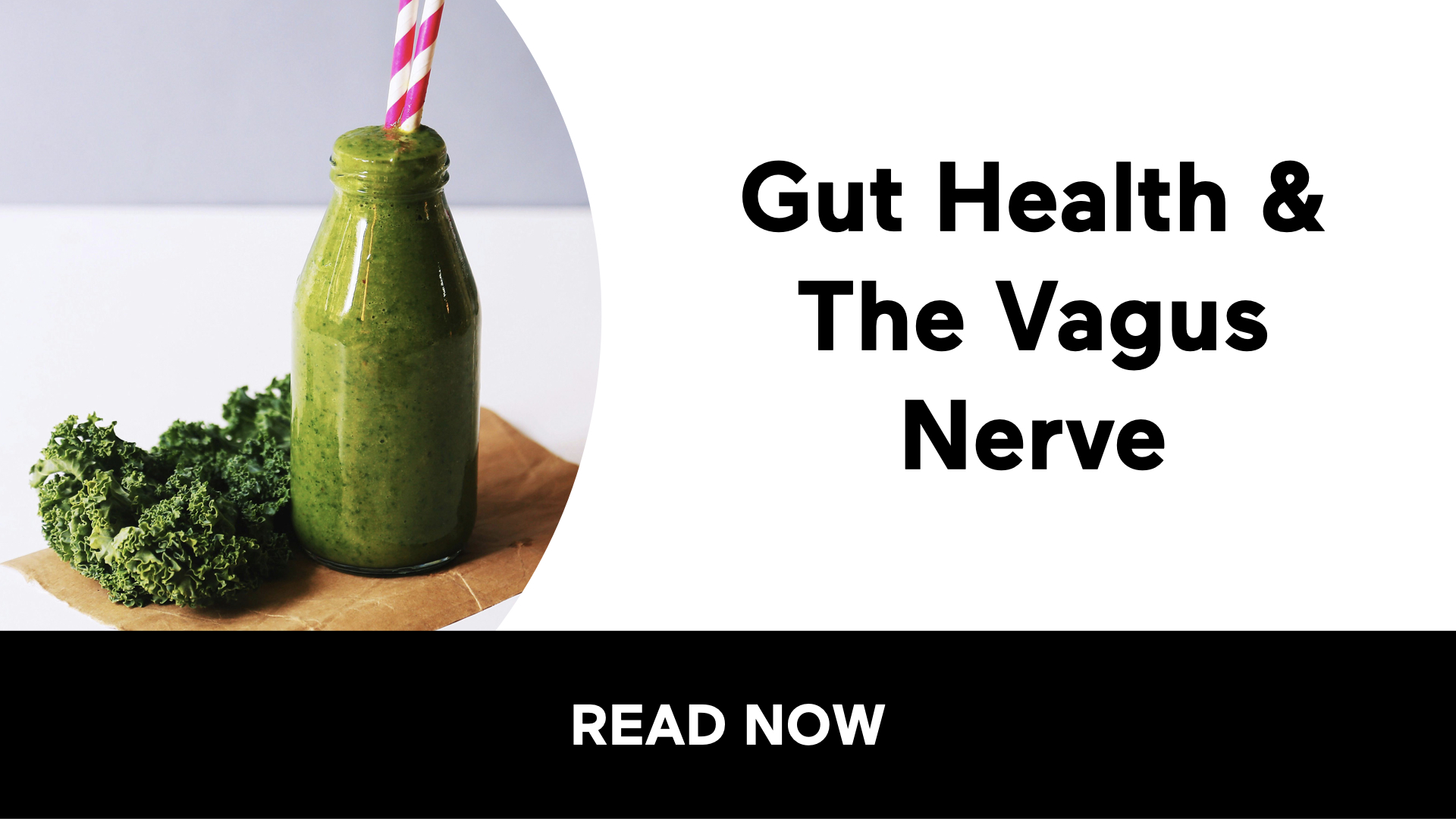 Gut Health & The Vagus Nerve