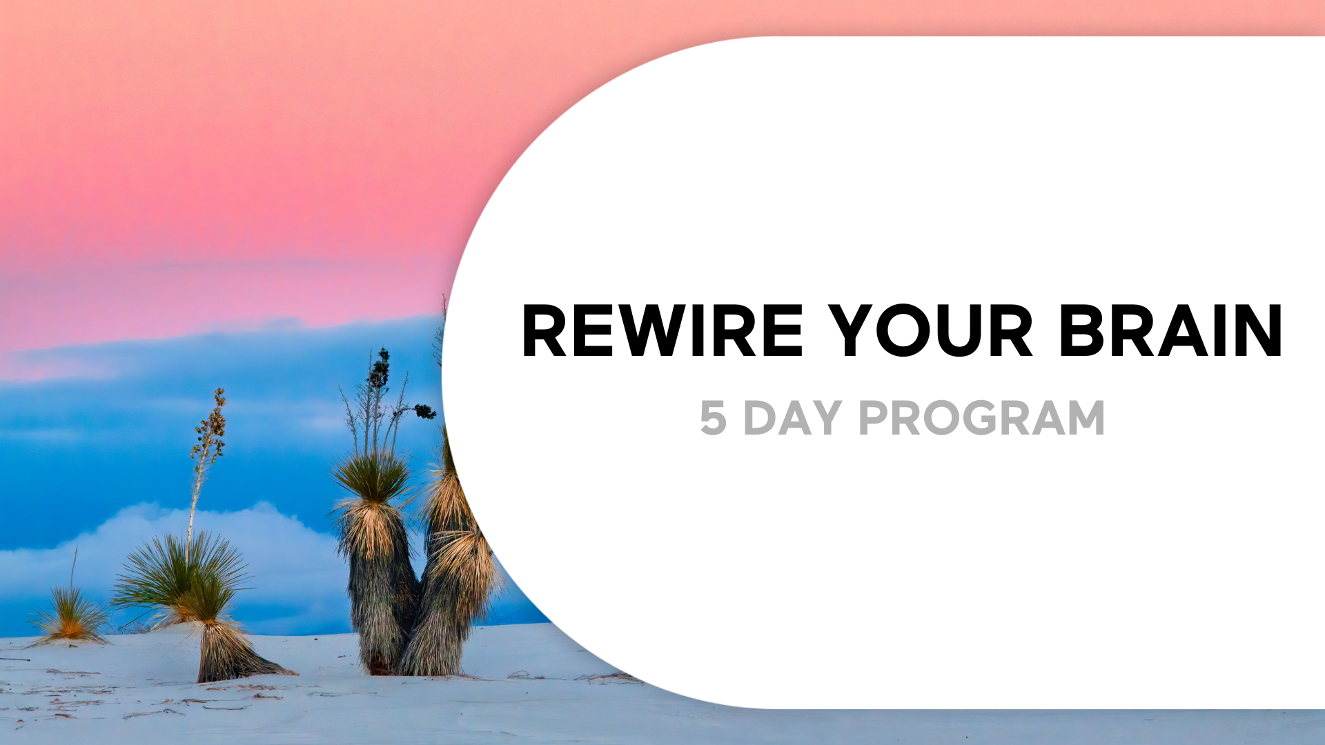 5 Days to Rewire Your Brain