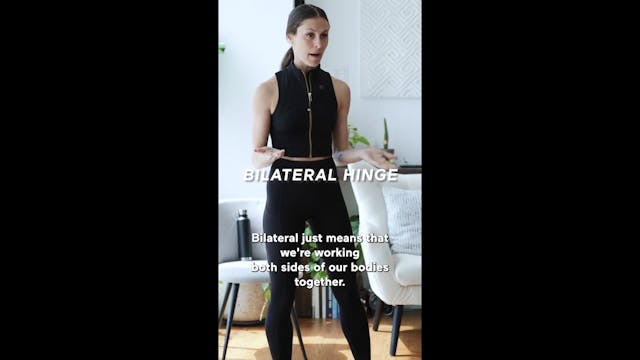 Bilateral Hinge (Highlight)