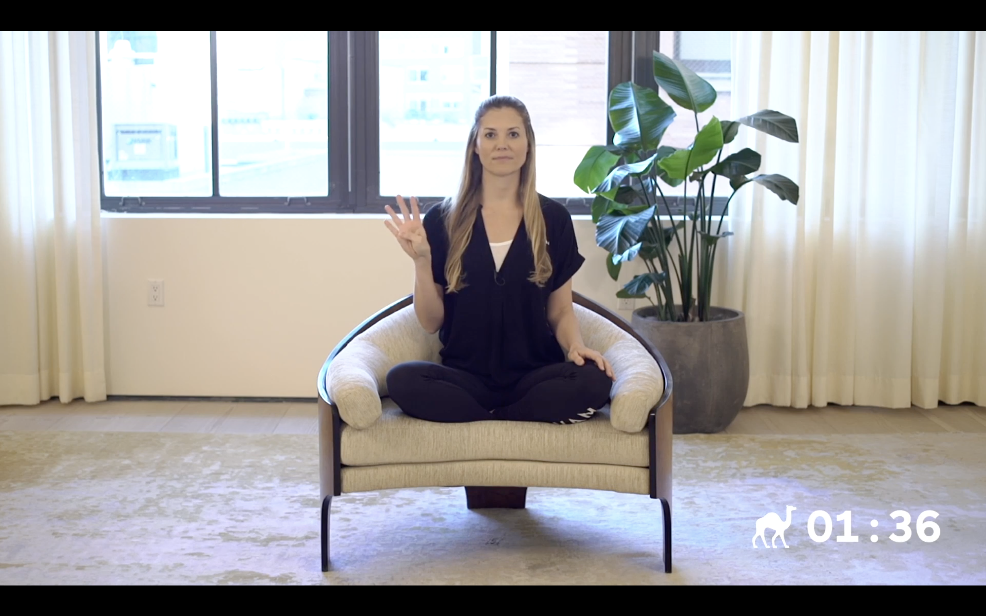 NIGHT: Mind Clearing Breath