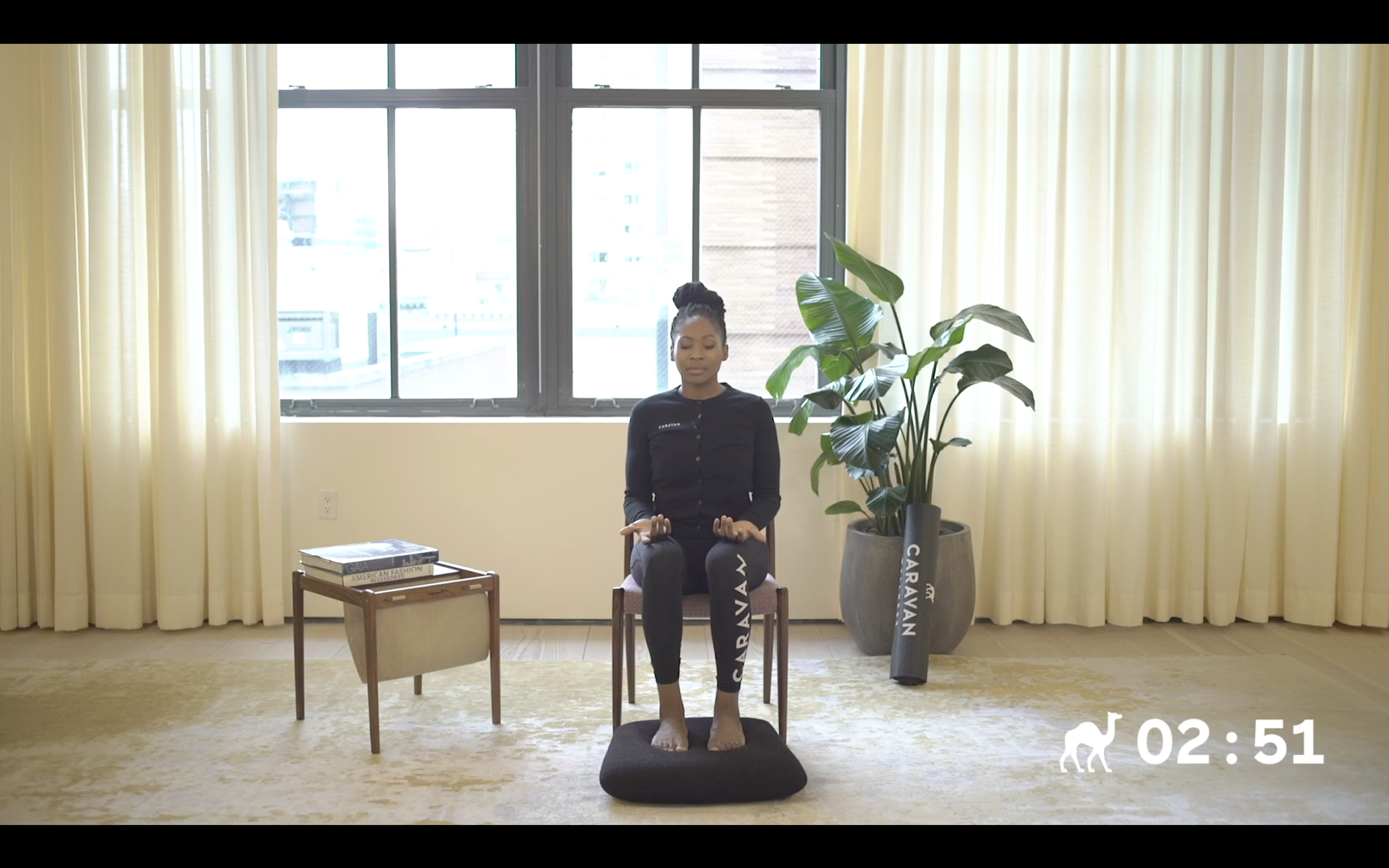 RISE: Visualization Meditation