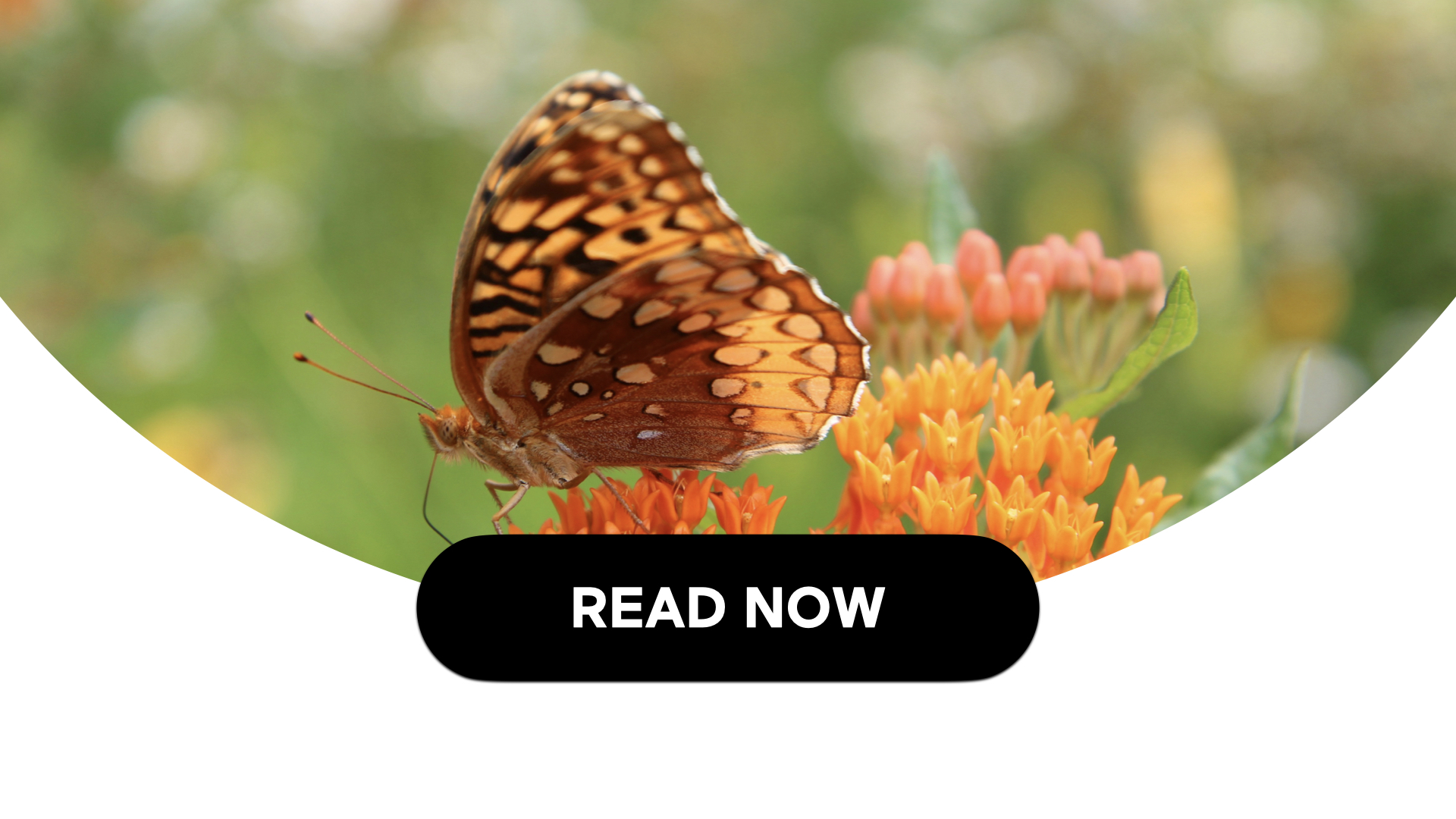 Tips For Cultivating Optimism (2 Min Read)