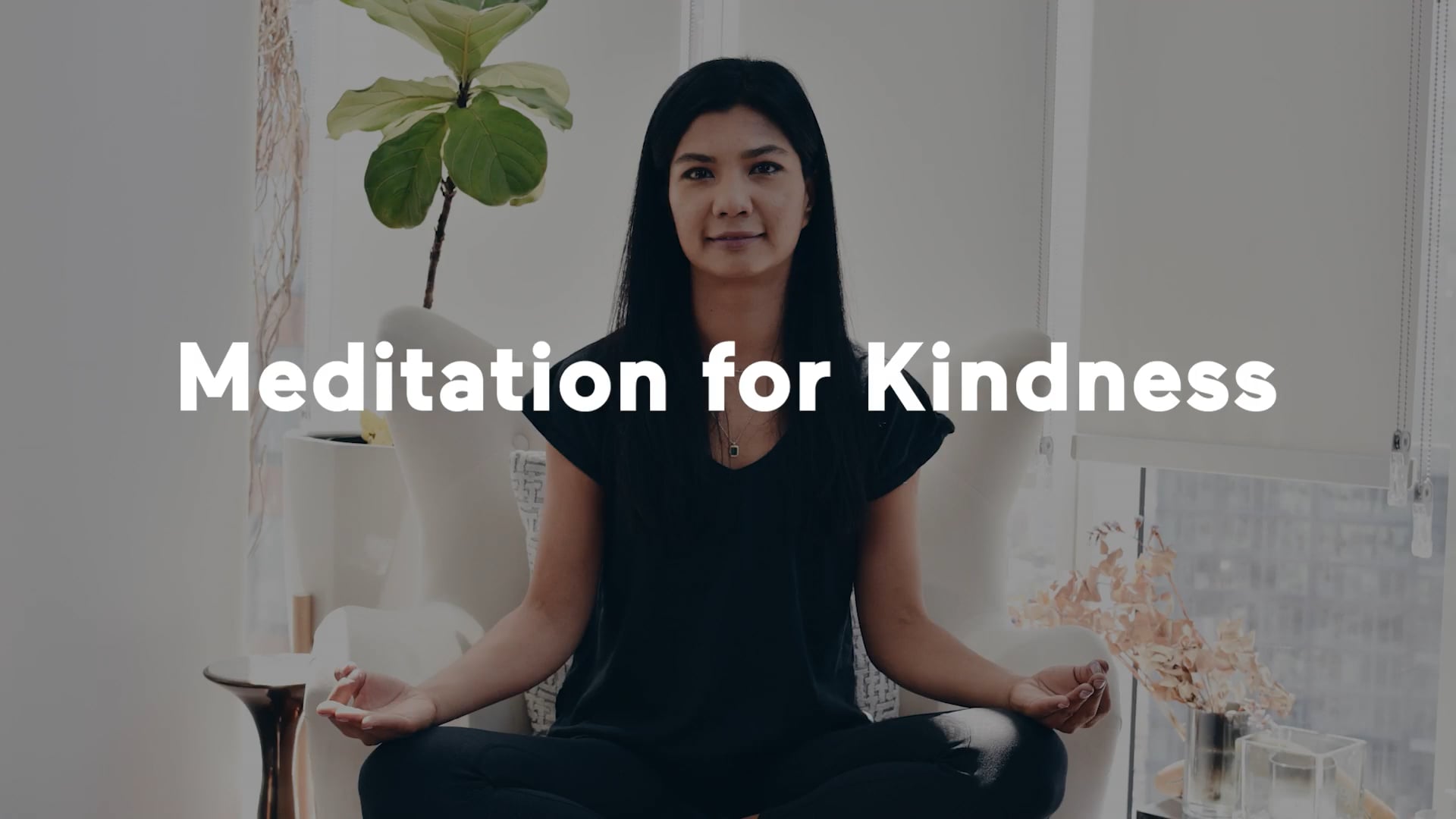 Workshop: Meditation For Kindness