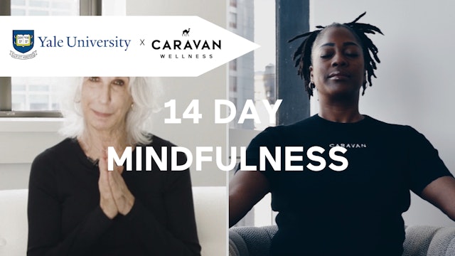 14 Day Mindfulness