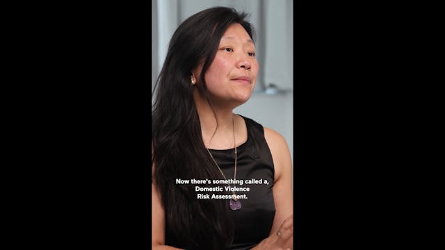 Domestic Violence Risk Assessment (Hi...