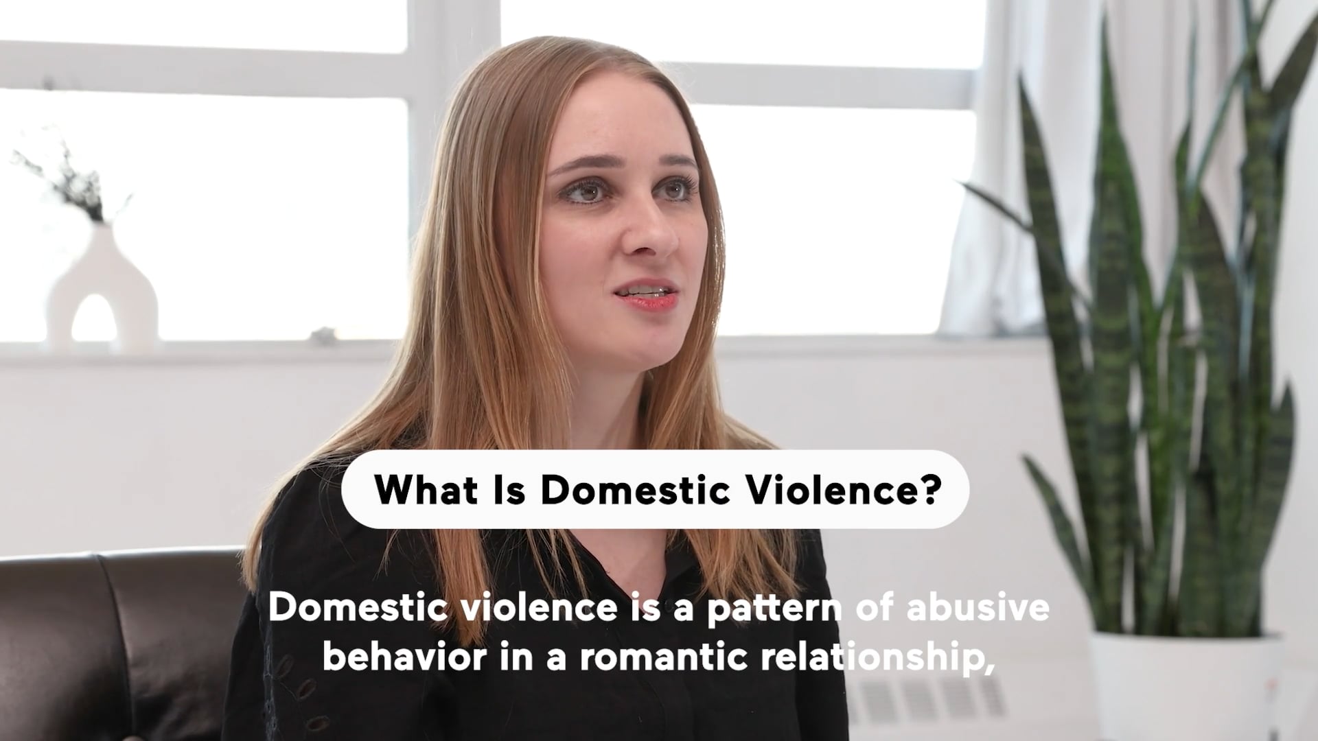 What Is Domestic Violence? (Highlight)
