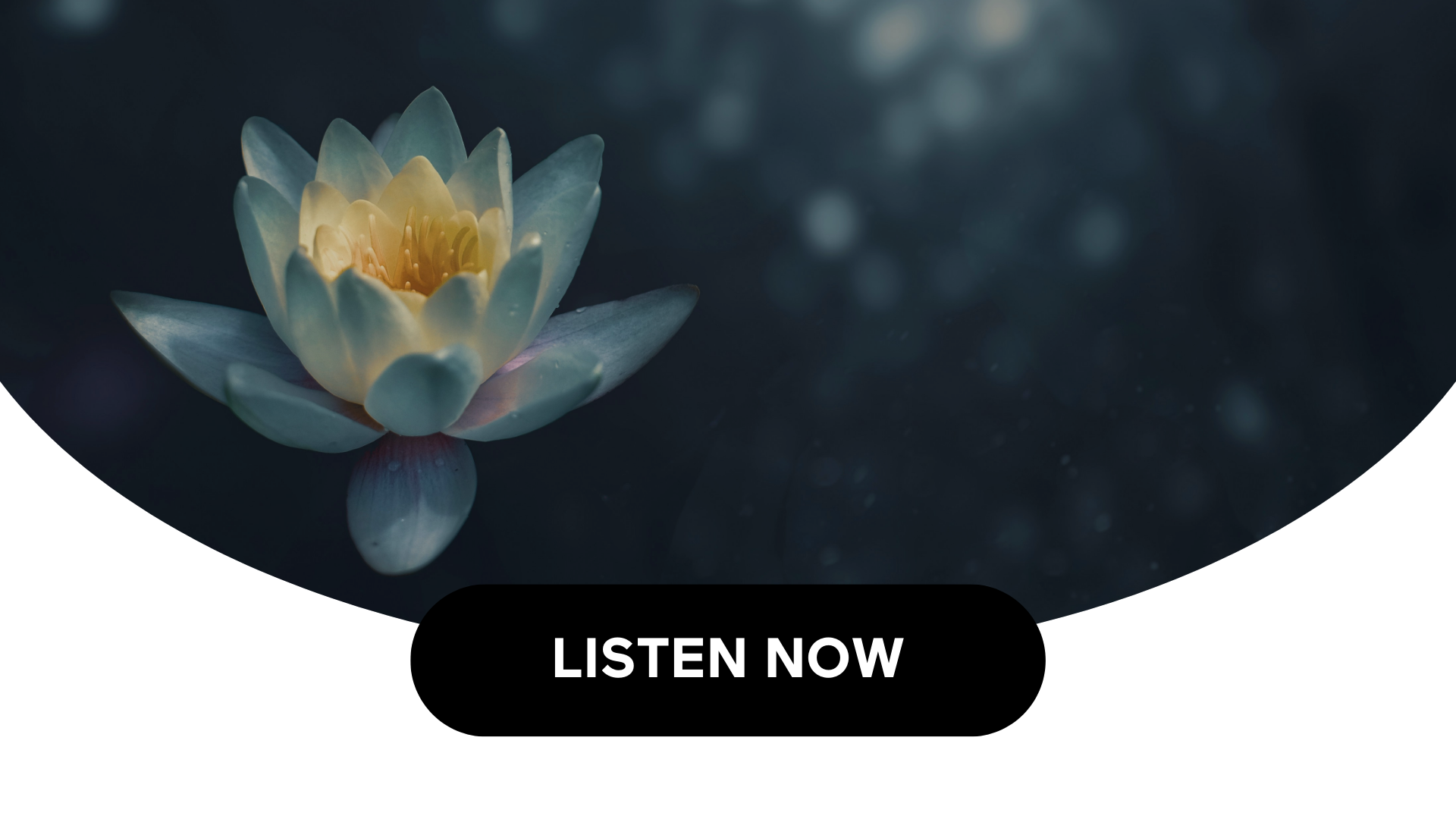 Guided Meditation For Avoiding Motion Sickness (Audio)