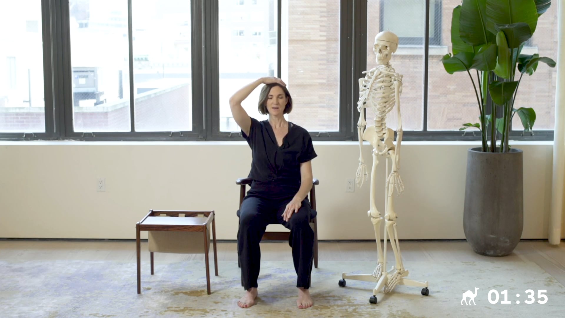 3 Min Breath Of Integration