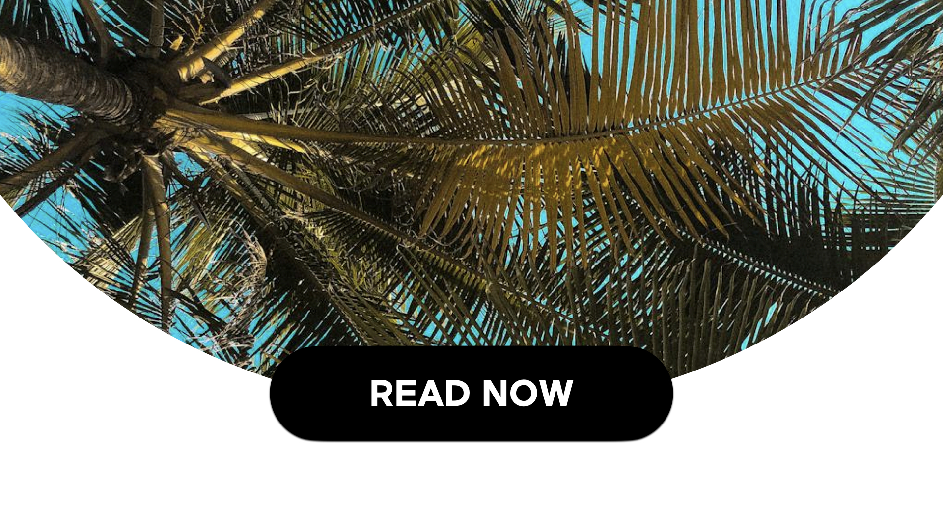 Understanding The Importance Of Vacation Time (2 Min Read)