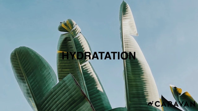 Hydratation (Français)