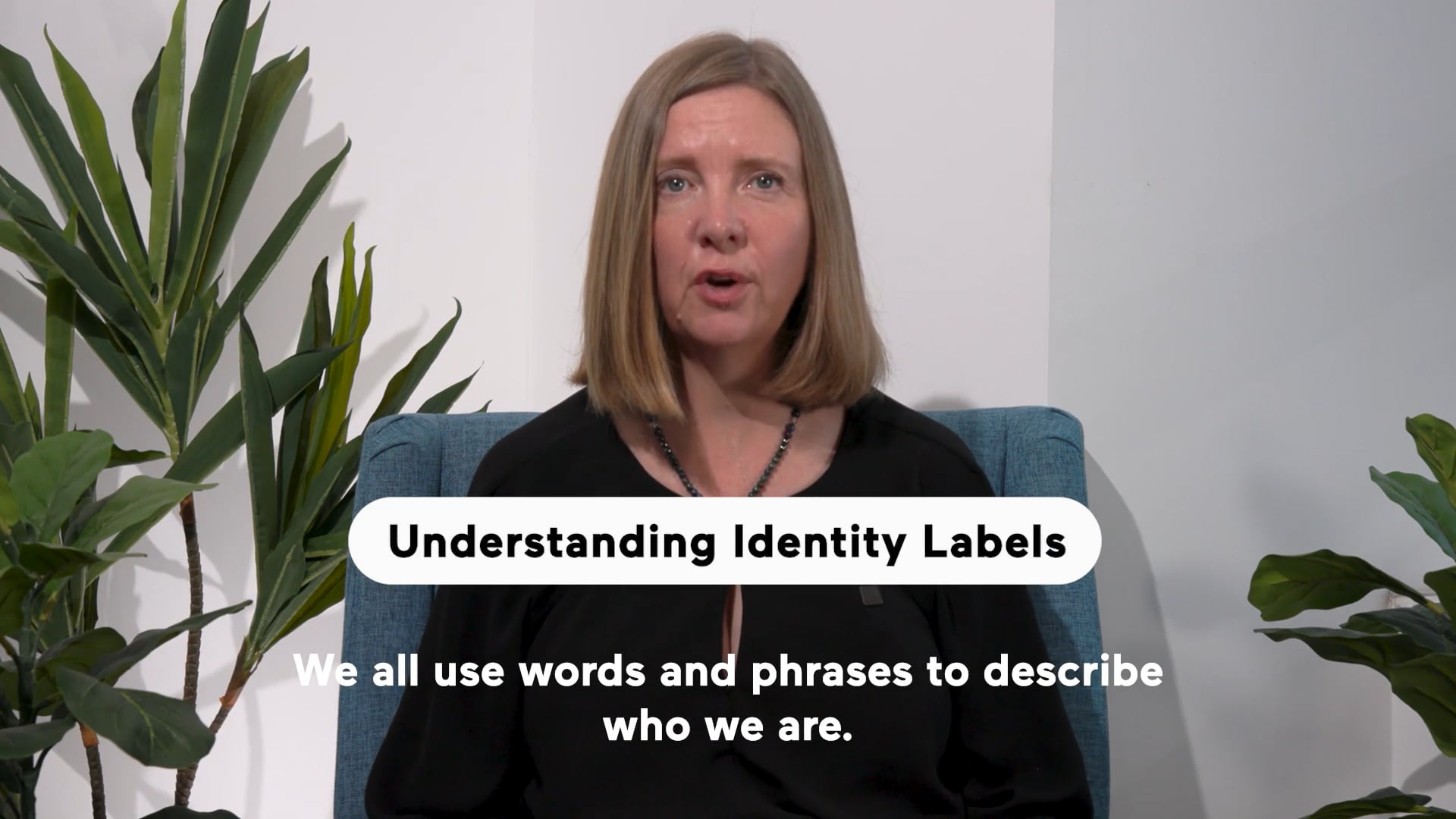 Understanding Identity Labels (Highlight)