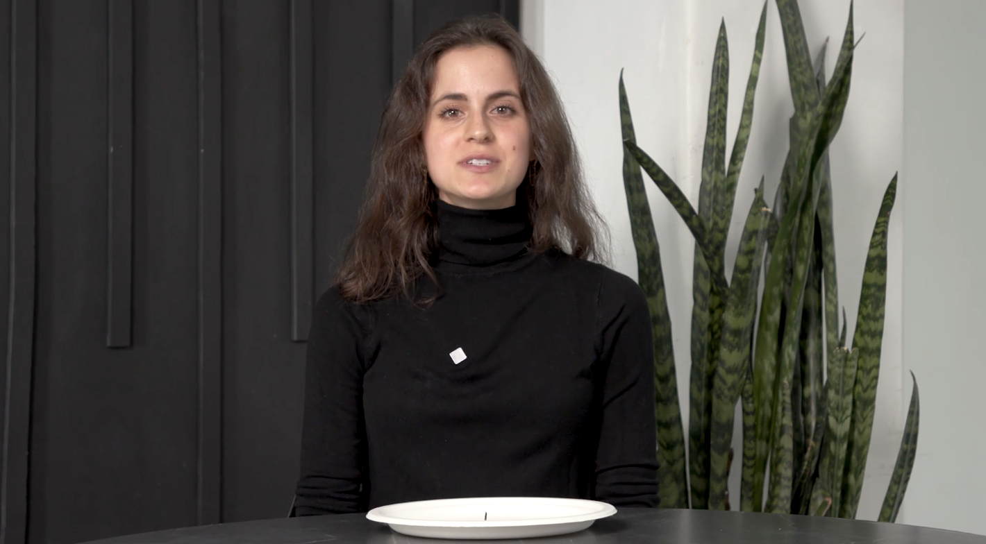 Fondamenti di nutrizione (Italiano)