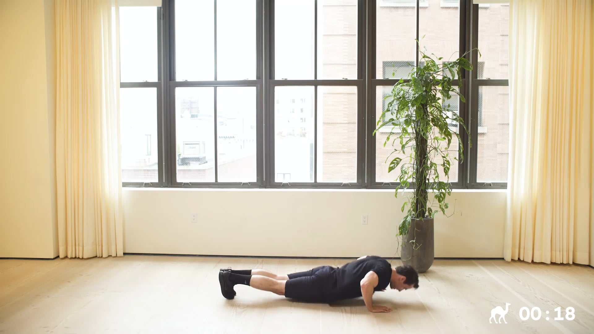 10 Min Full Body (Advanced)