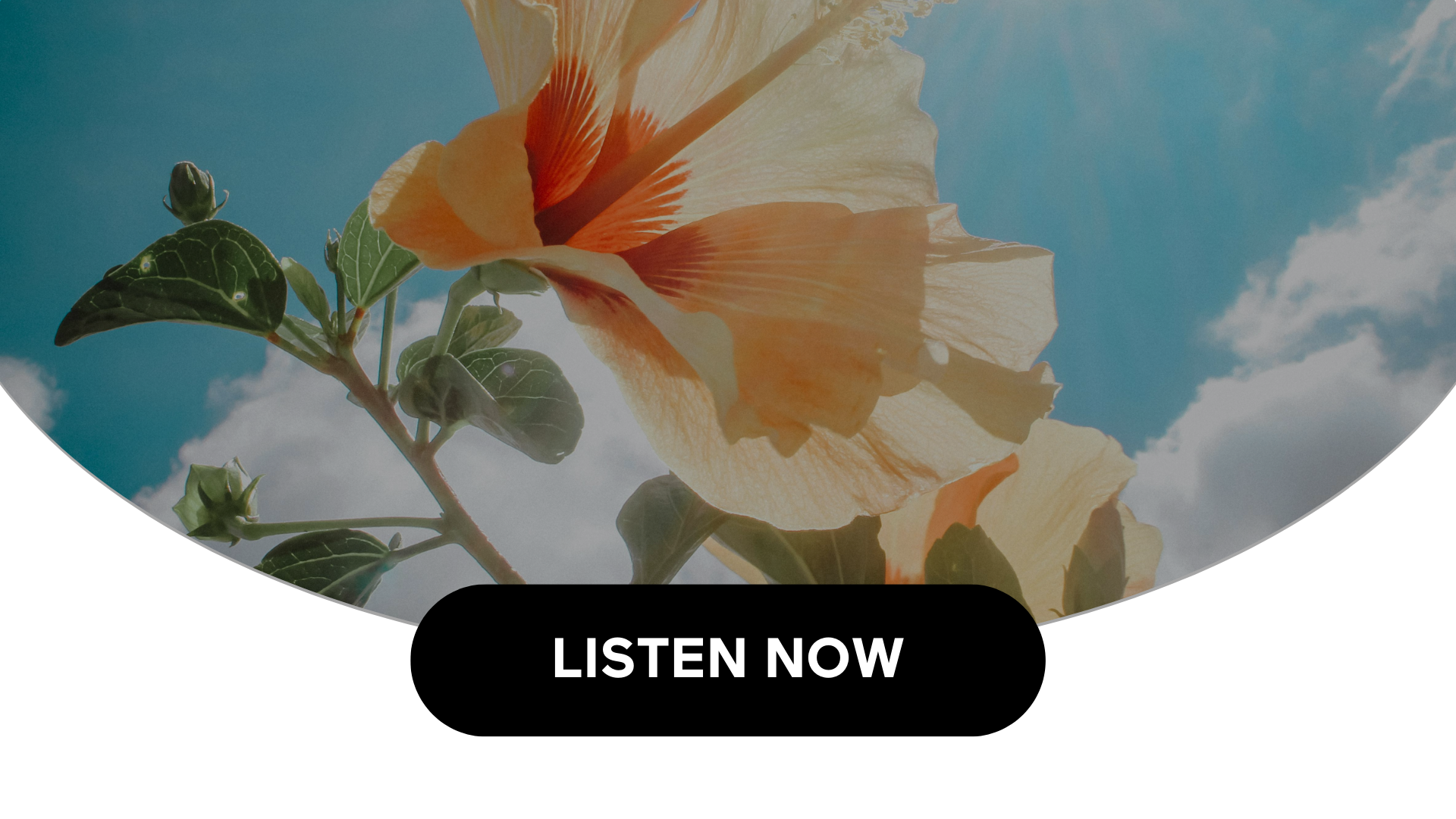 Maintaining Healthy Cholesterol Levels (Audio)