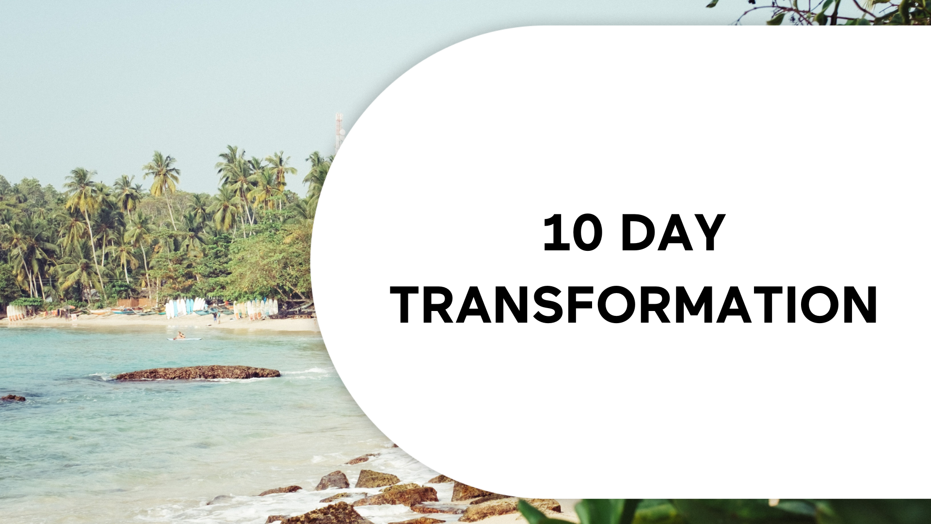 10 Day Transformation