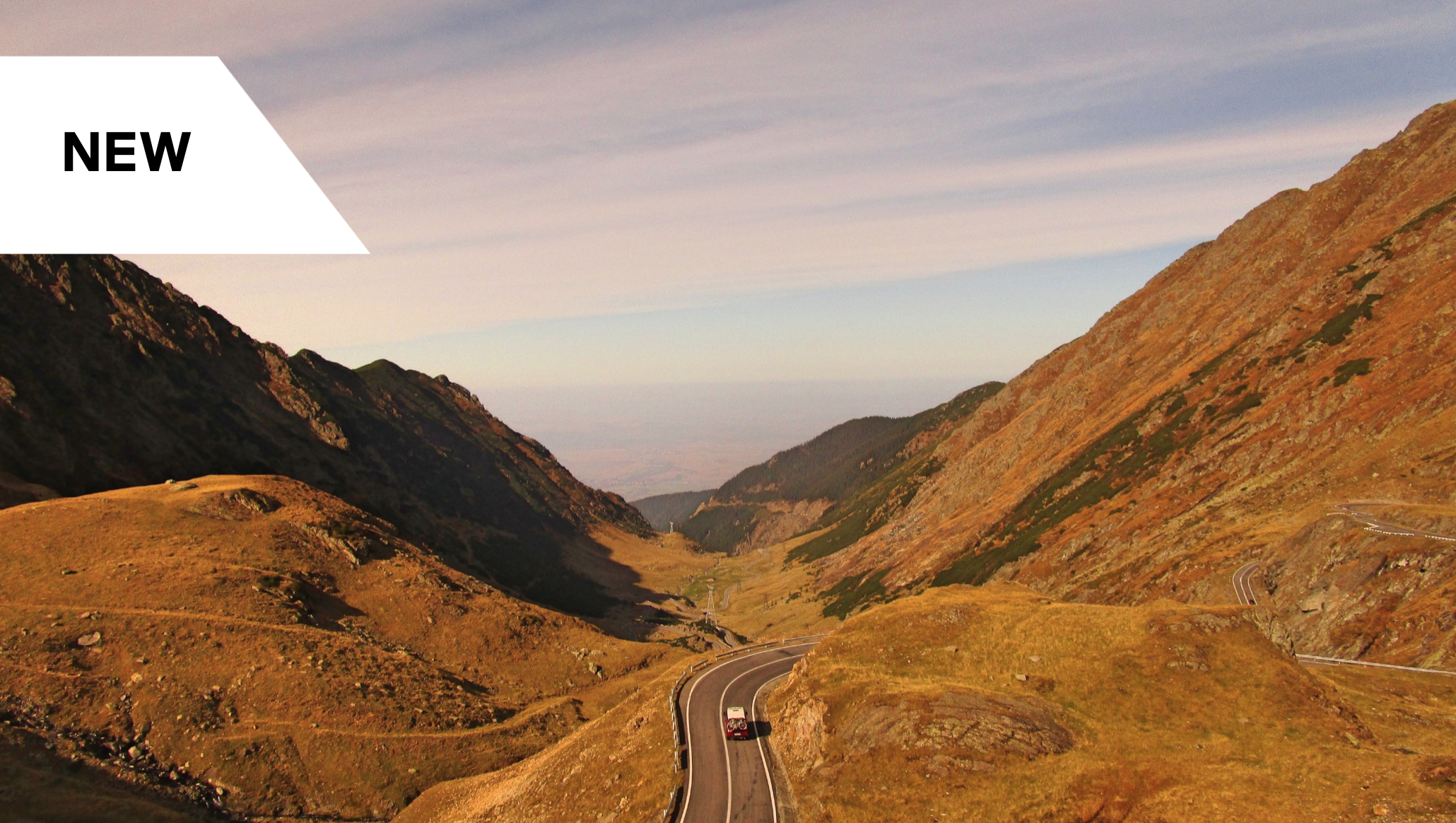 Conscious Leadership