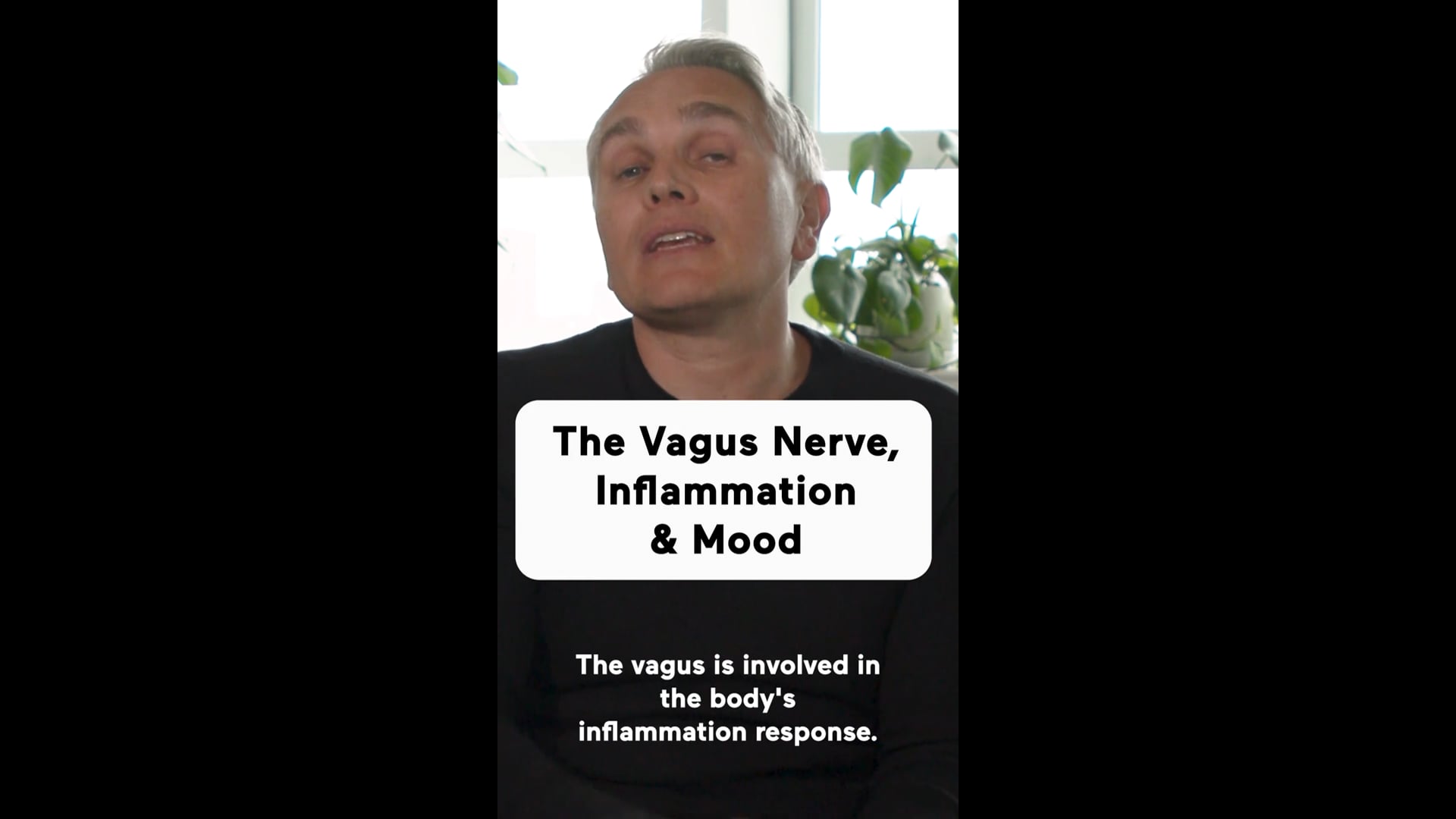 The Vagus Nerve, Inflammation & Mood (Highlight 9x16)