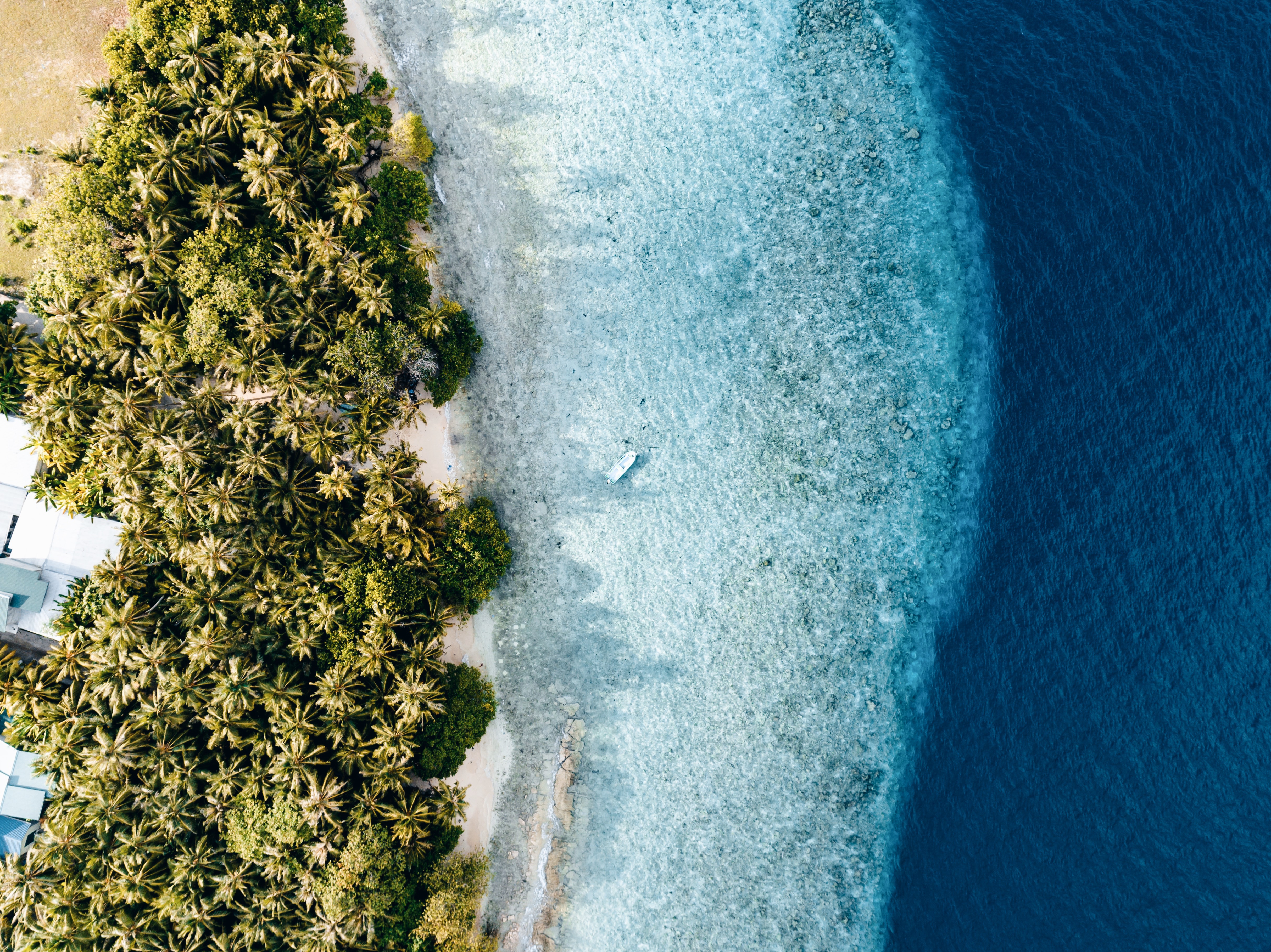 Nutrition For Disease Risk Reduction: 5 Min