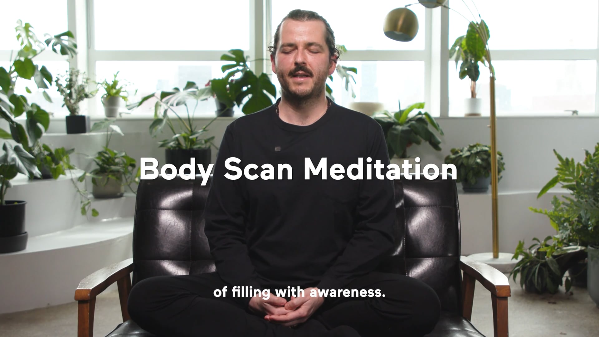 Body Scan Meditation (Highlight)