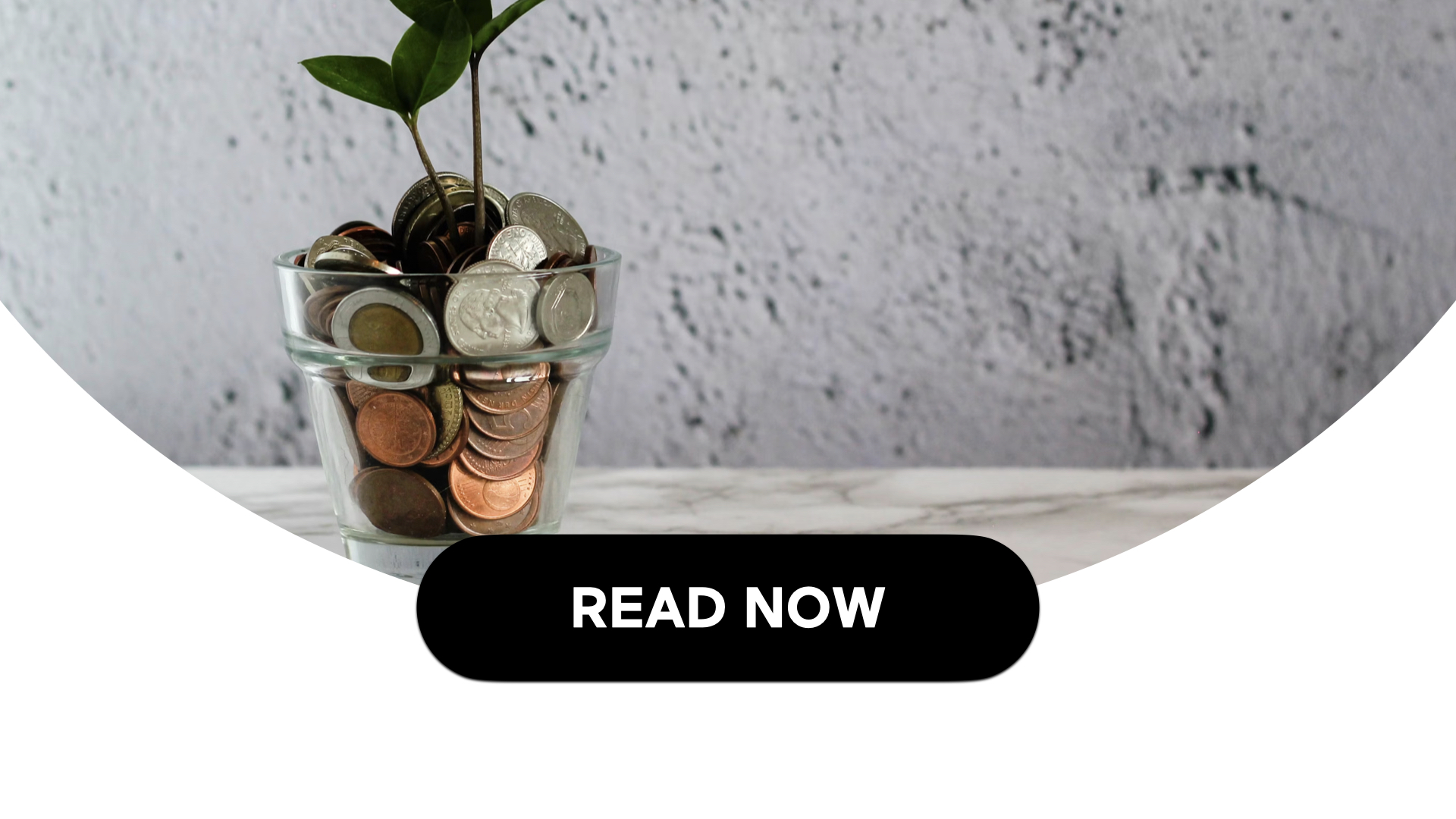 Understanding Annuities (5 Min Read)