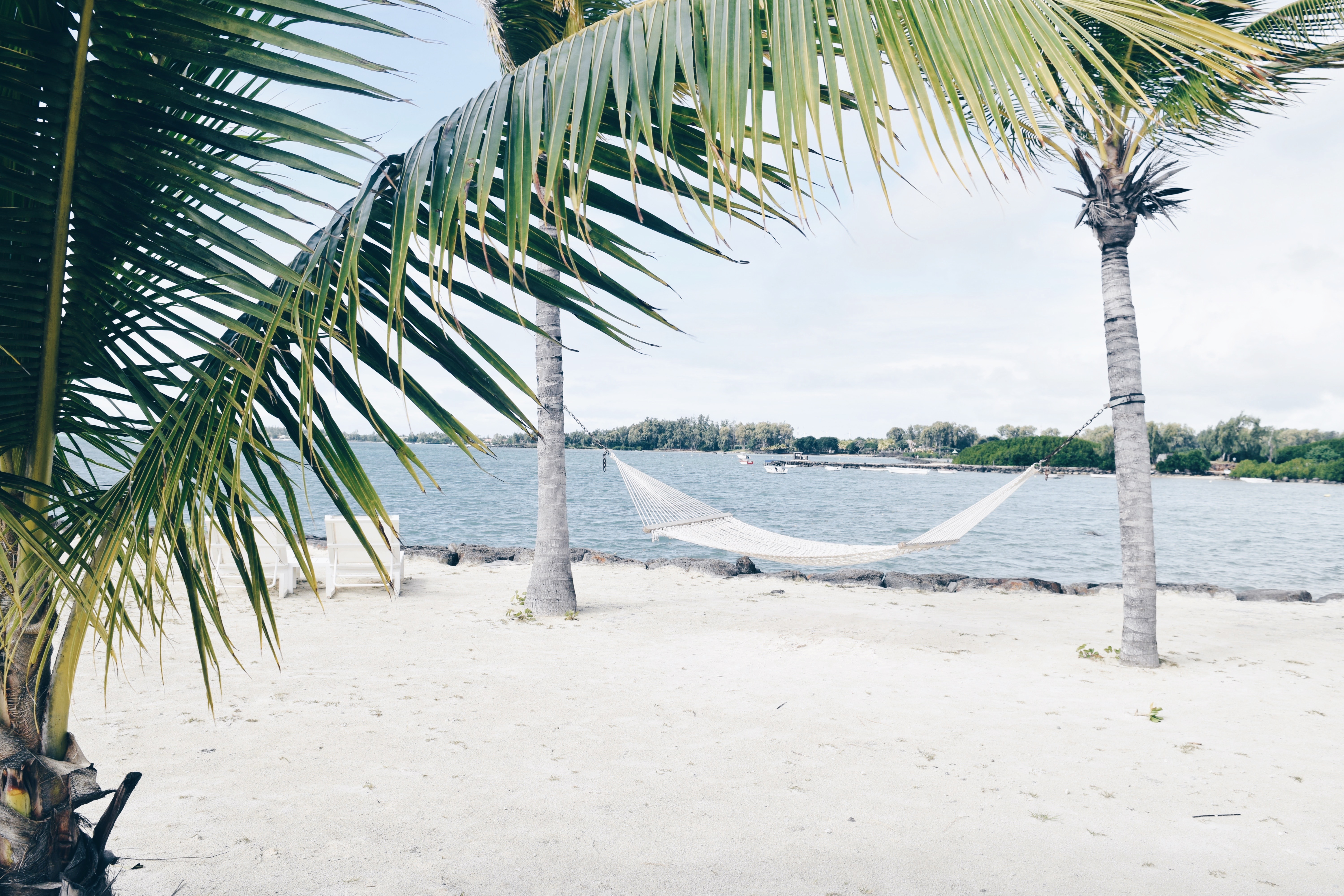 Full Body Barre: 20 Min