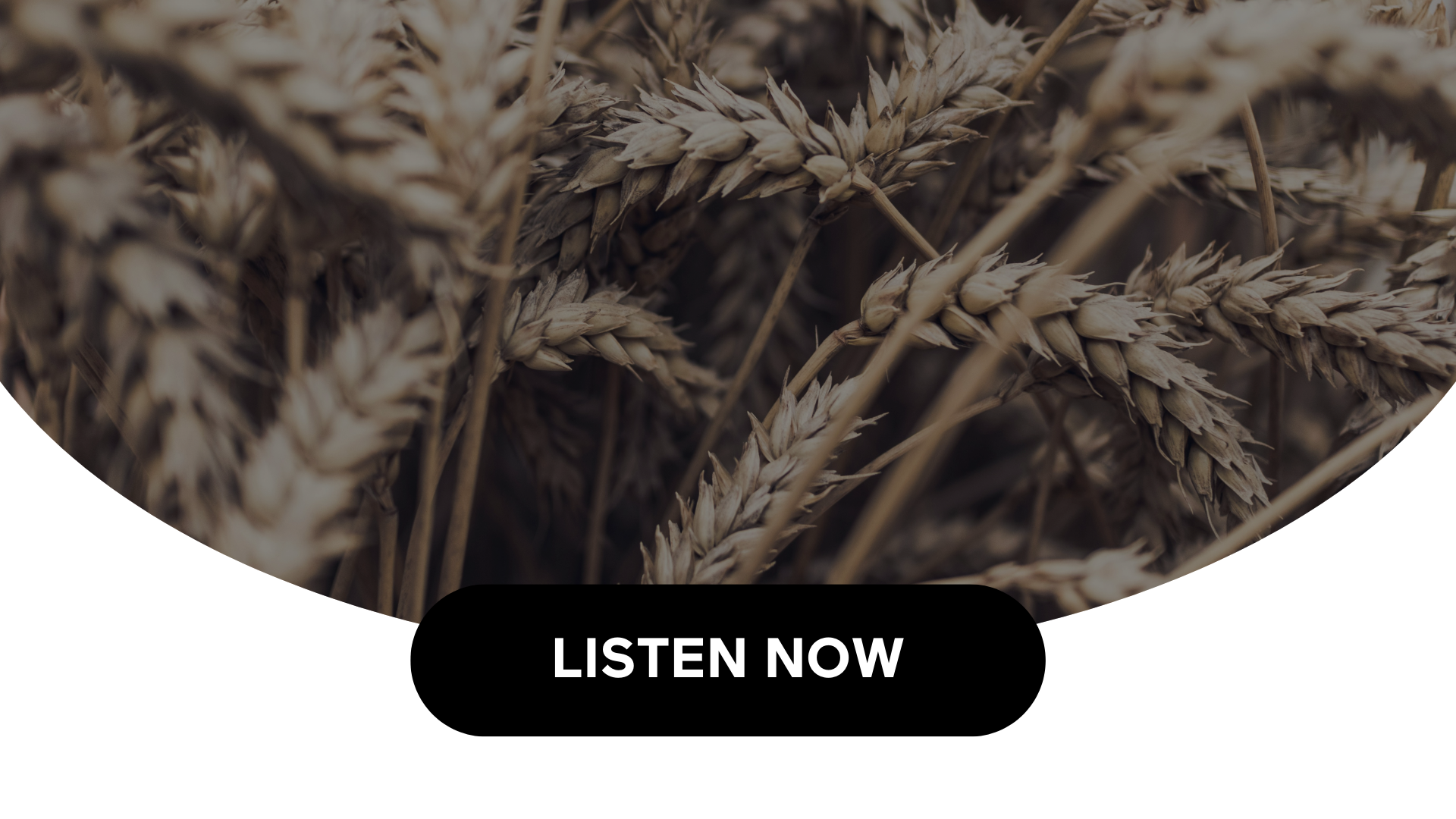 The Benefits Of High-Fiber Foods (Audio)