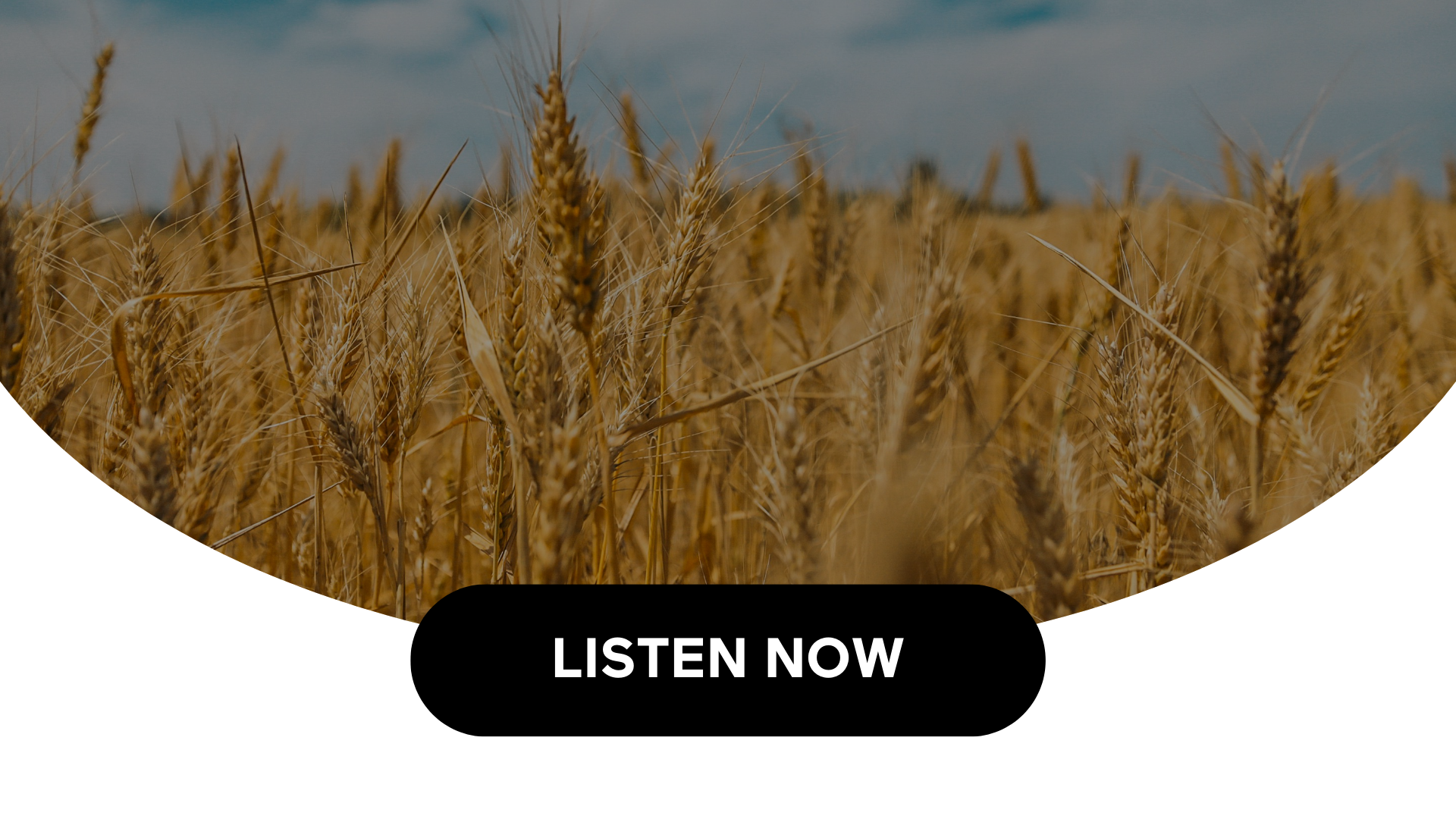 How Whole Grains Benefit Your Diet (Audio)