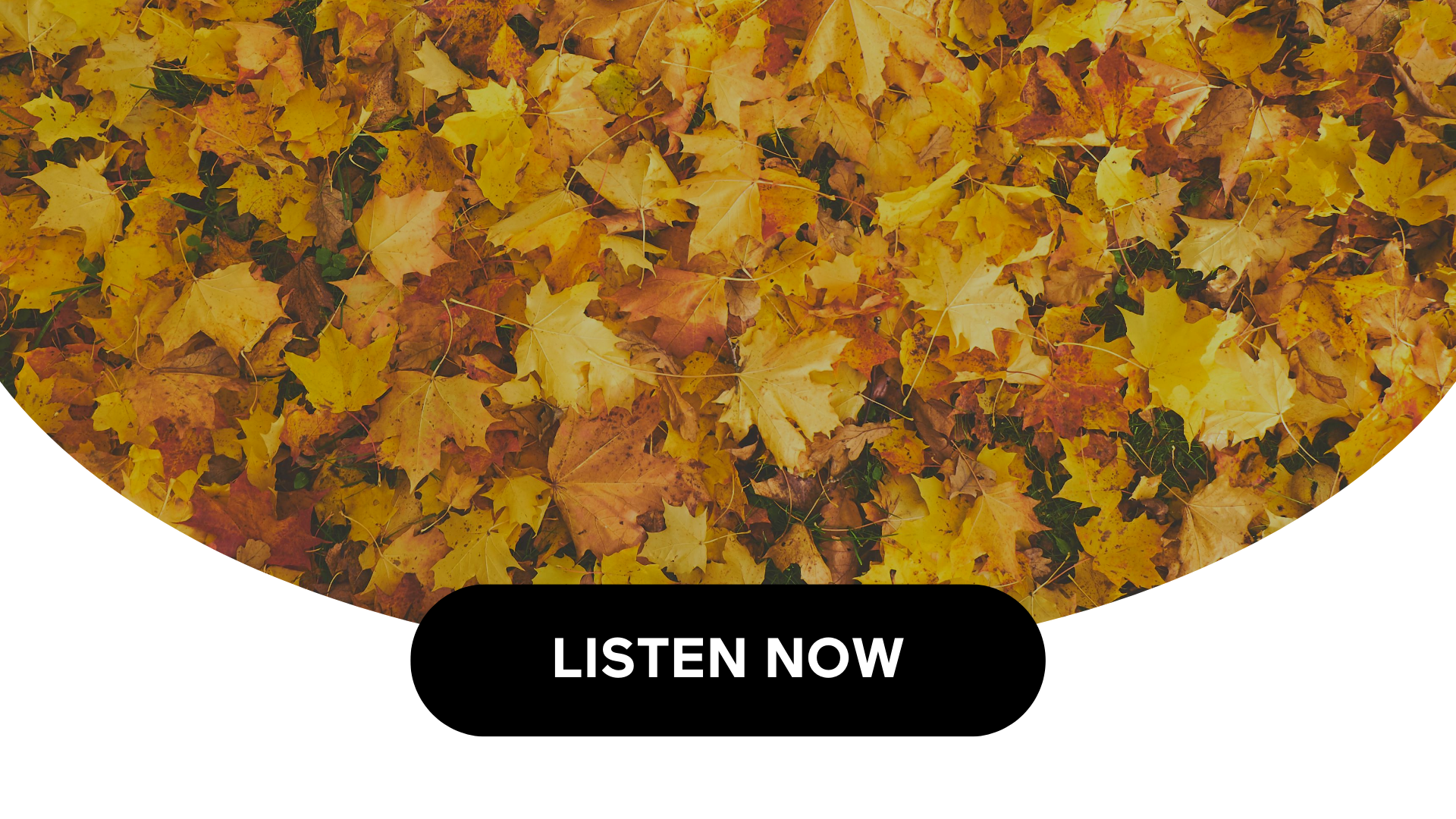 Embracing Fall Superfoods For Health & Wellness (Audio)