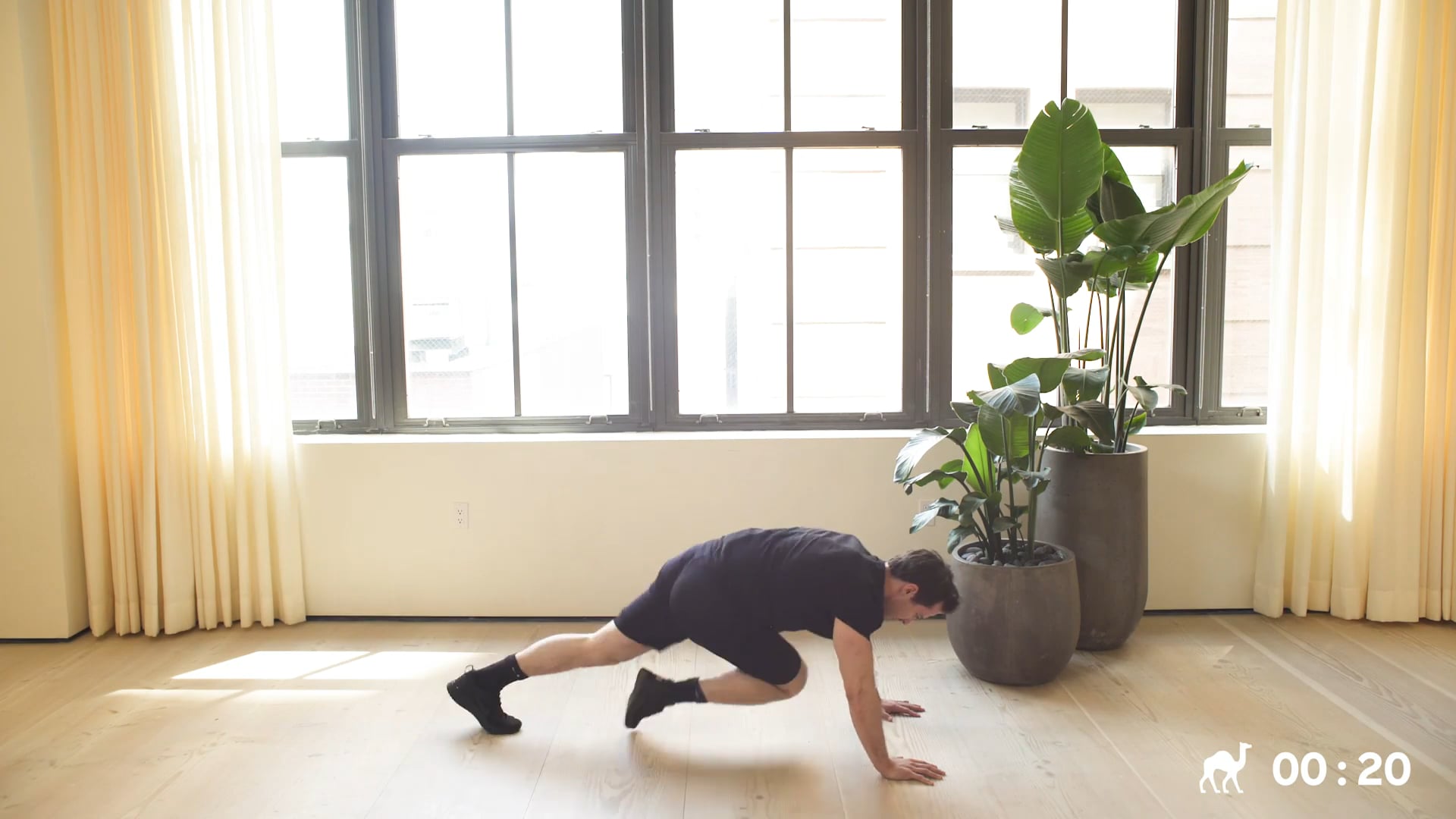 10 Min Full Body (Beginner)