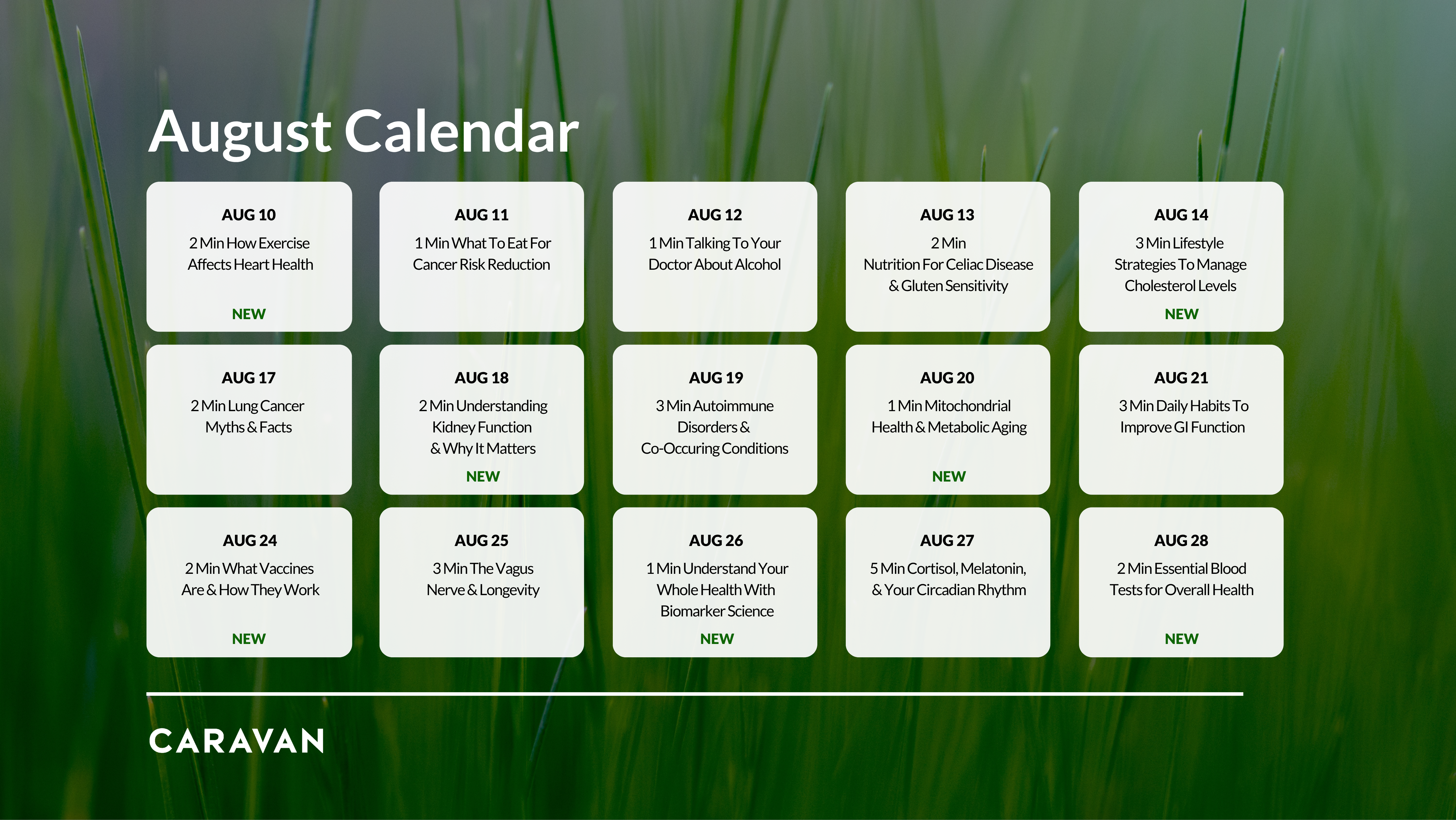 August Calendar