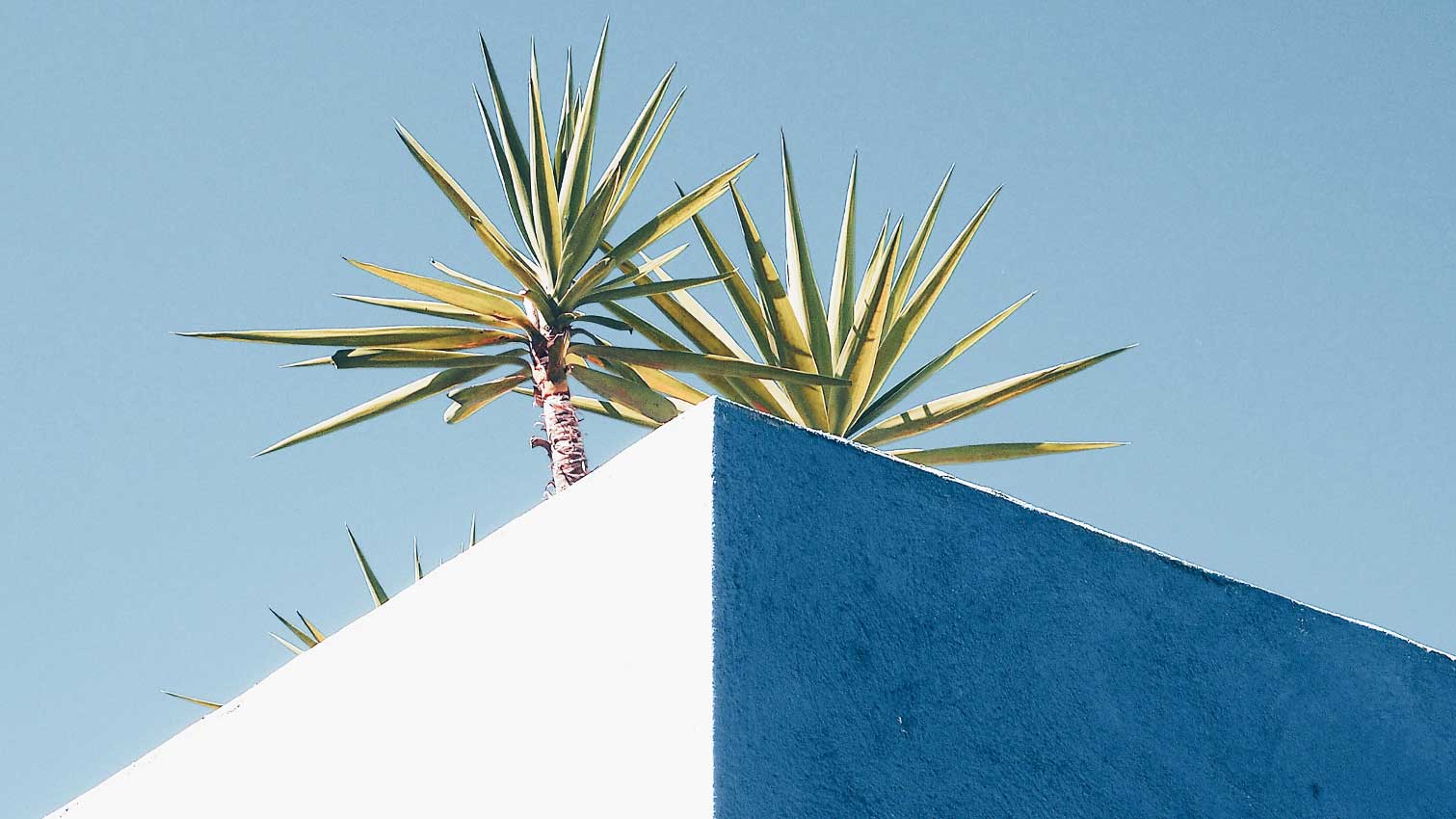 Pilates Intermediate