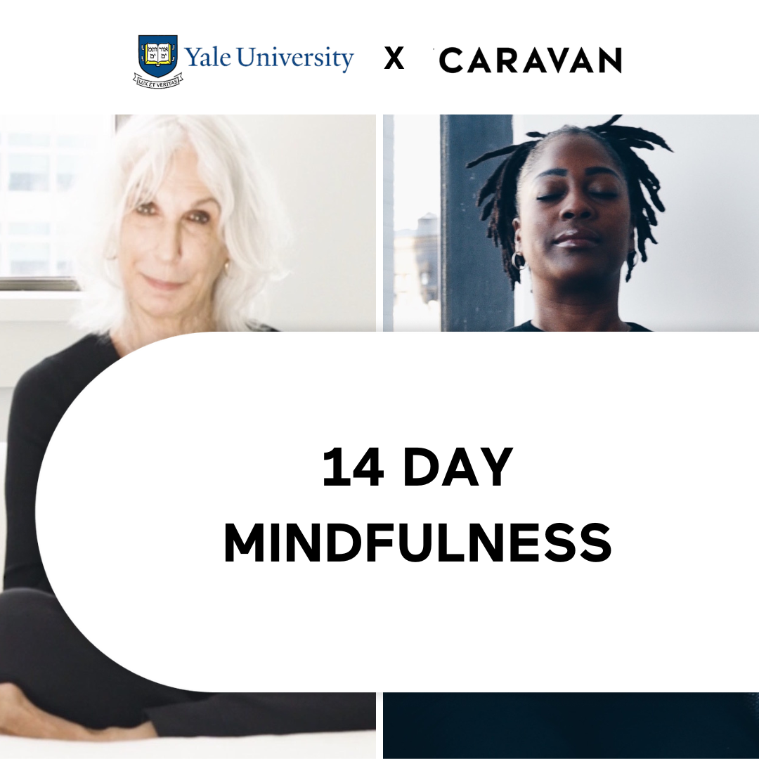 14 Day Mindfulness
