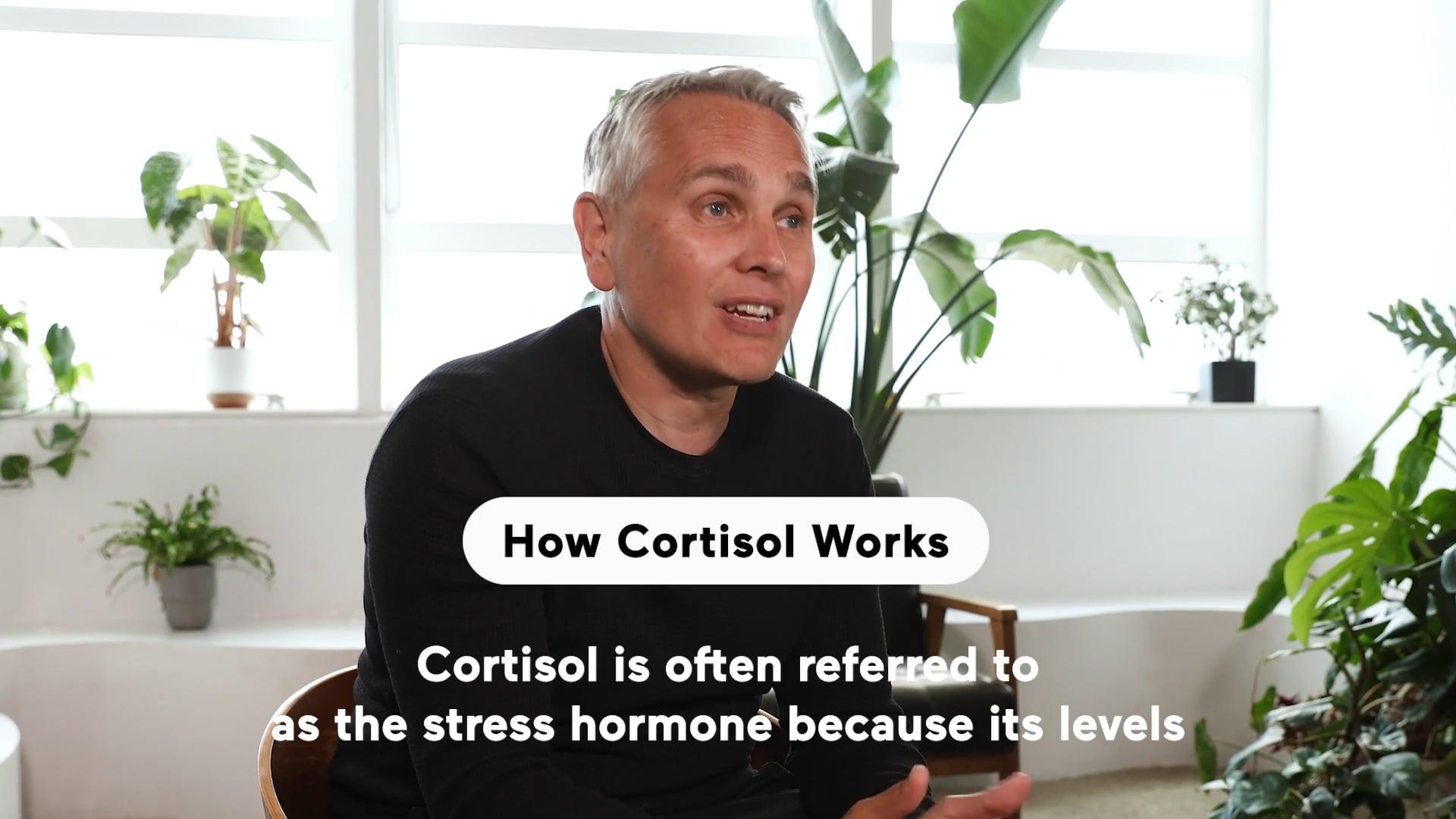 How Cortisol Works (Highlight)