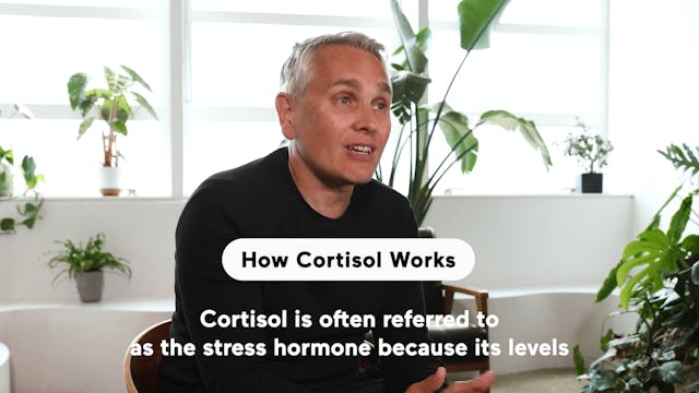 How Cortisol Works (Highlight)