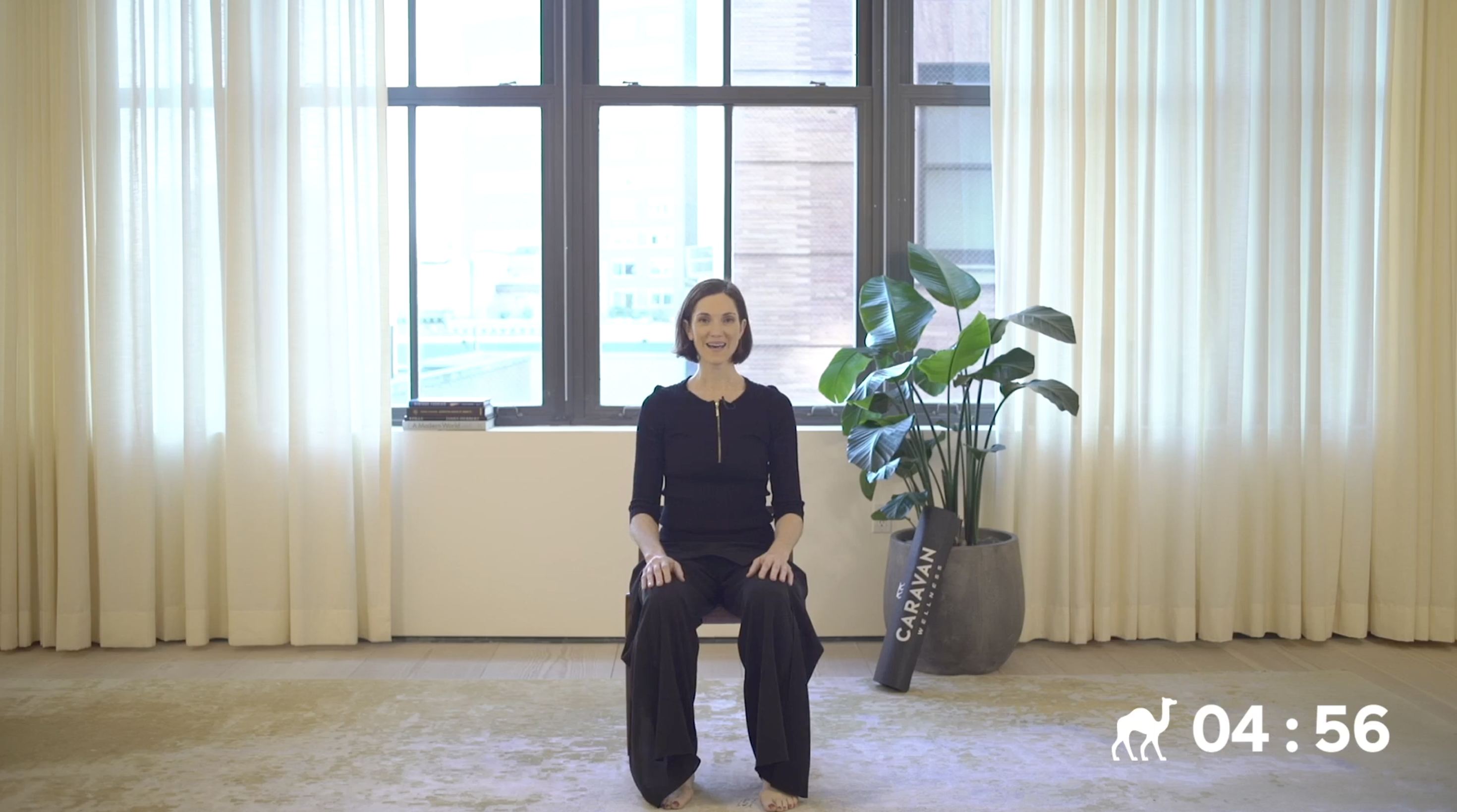 5 Min Roll Down With A Twist