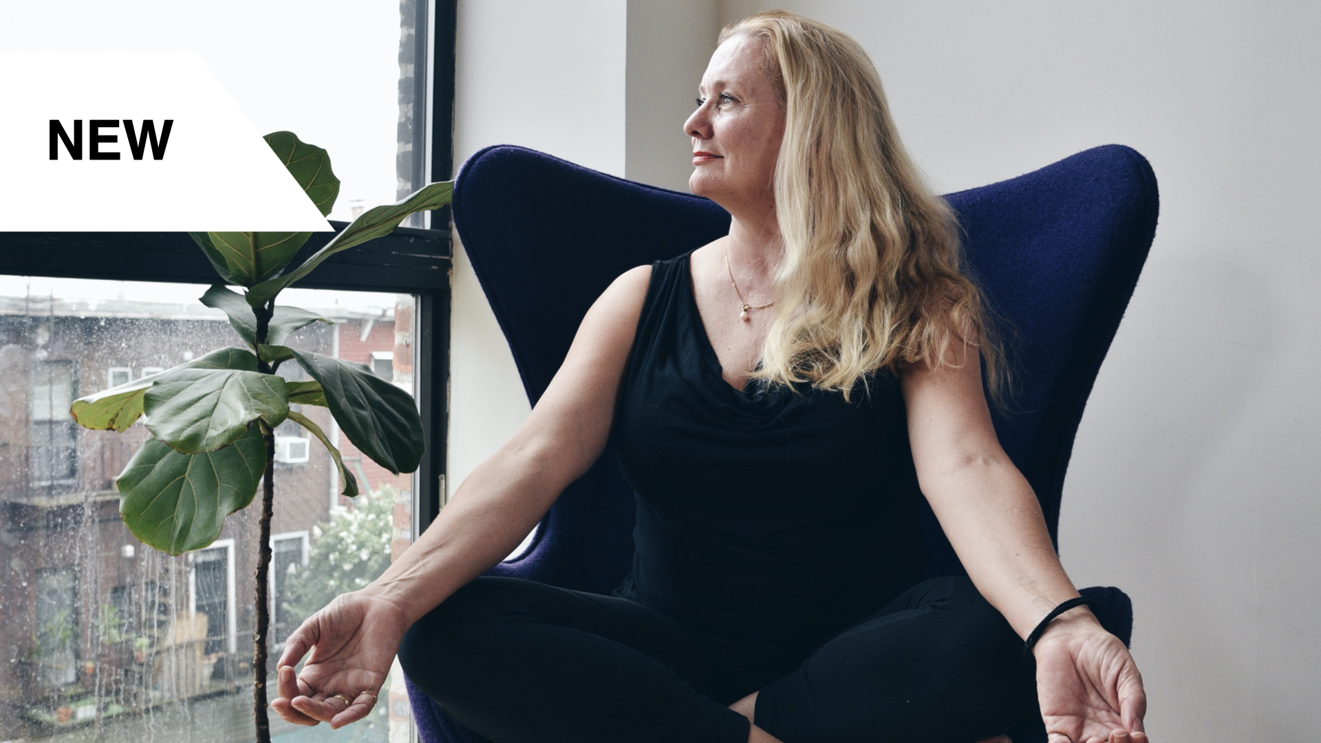 Meditations For Every Emotion