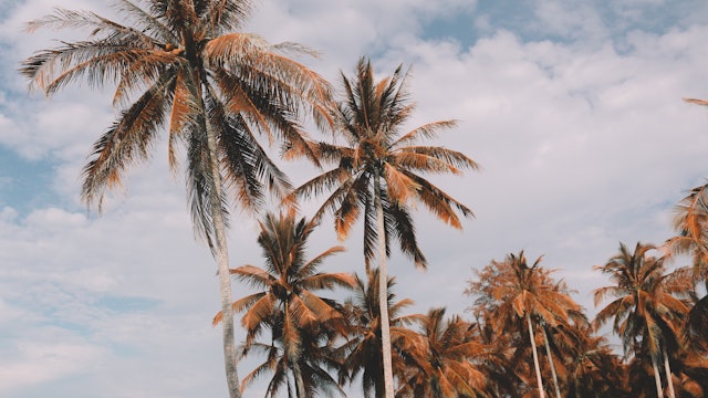 Wellness with Kristen