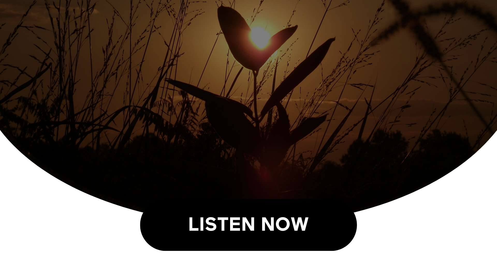 Financial Considerations For End-Of-Life Planning (Audio)