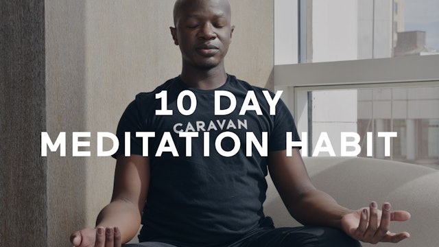 10 Day Meditation Habit