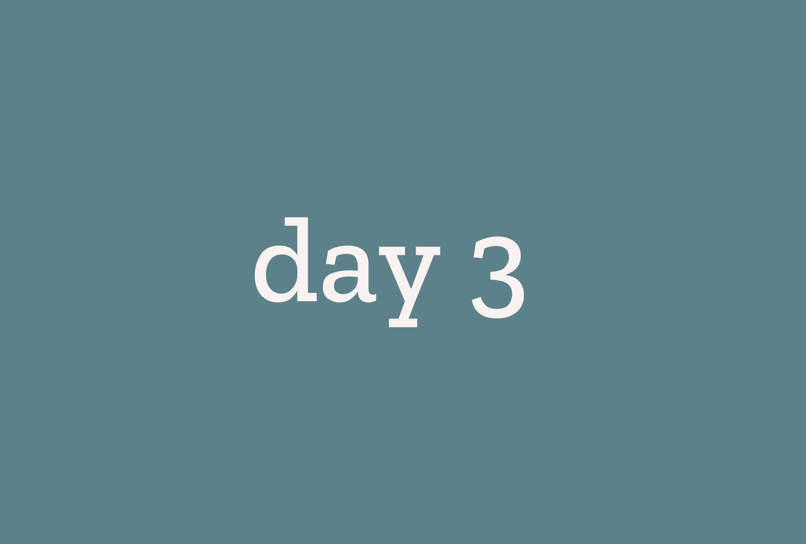 Day 3