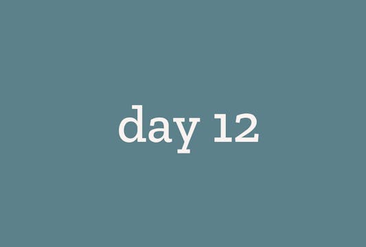 Day 12